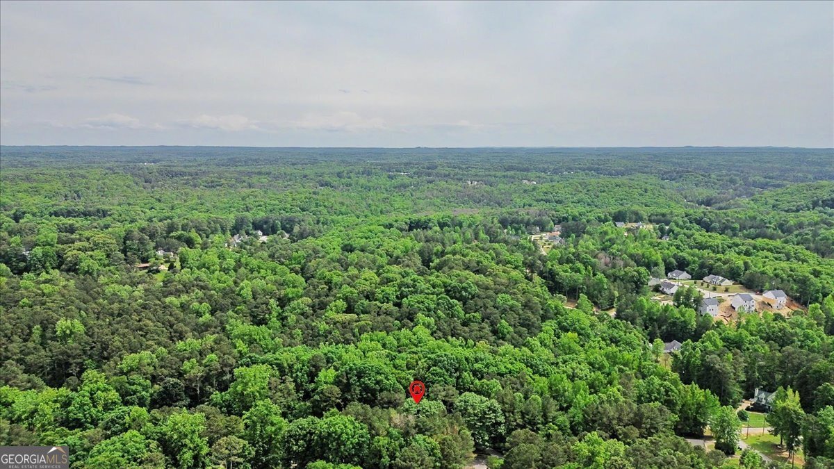 251 Paces Lakes Drive Property Photo 42