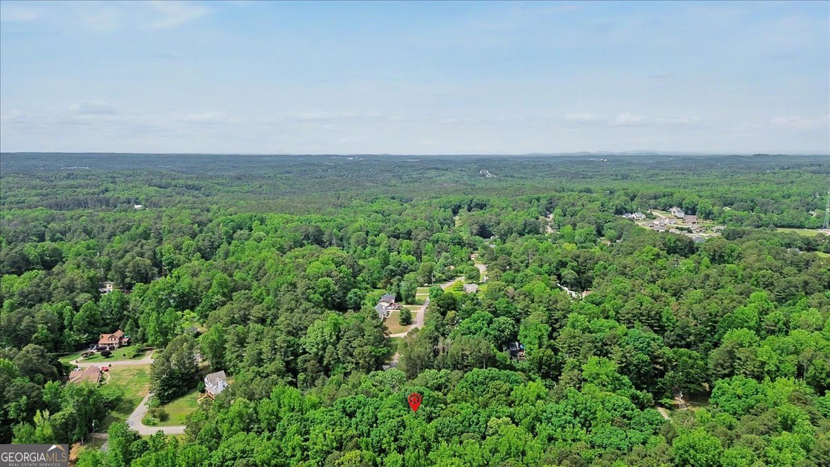 251 Paces Lakes Drive Property Photo 43