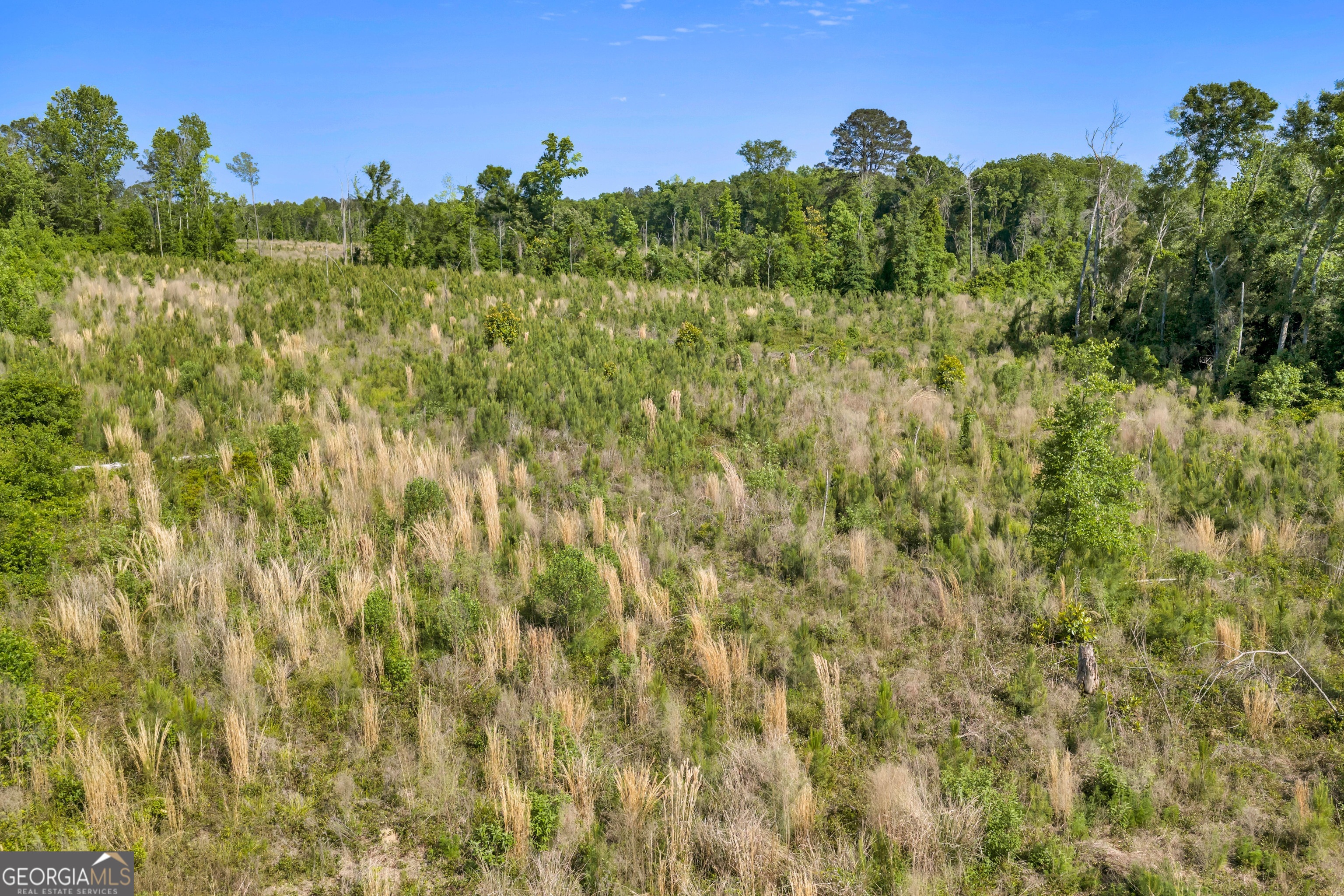 0 Us 82 Property Photo 26