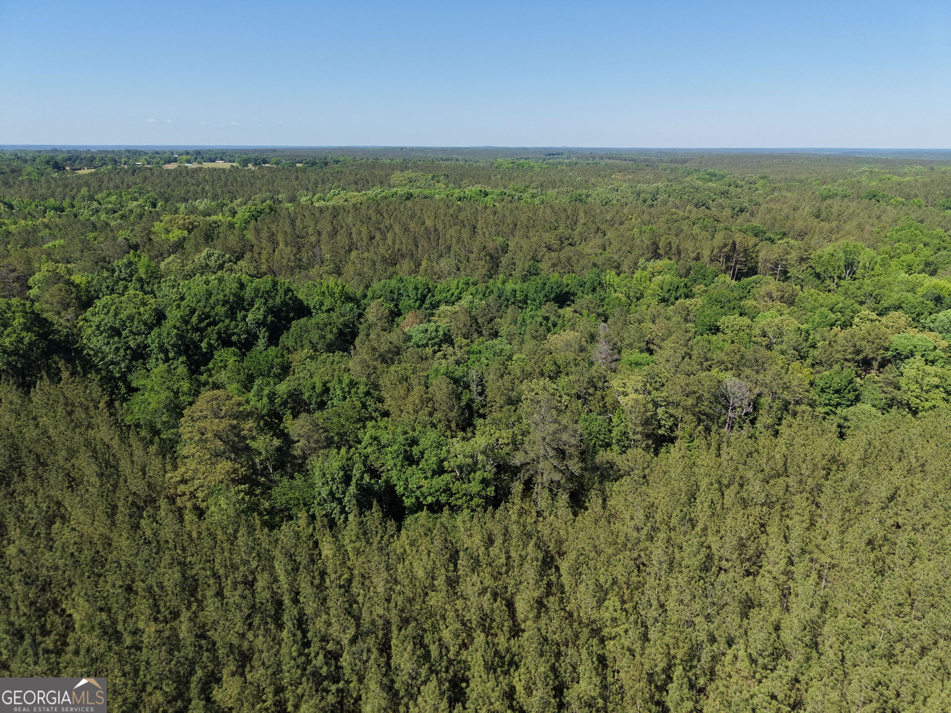 580 Saggus Road Property Photo 14