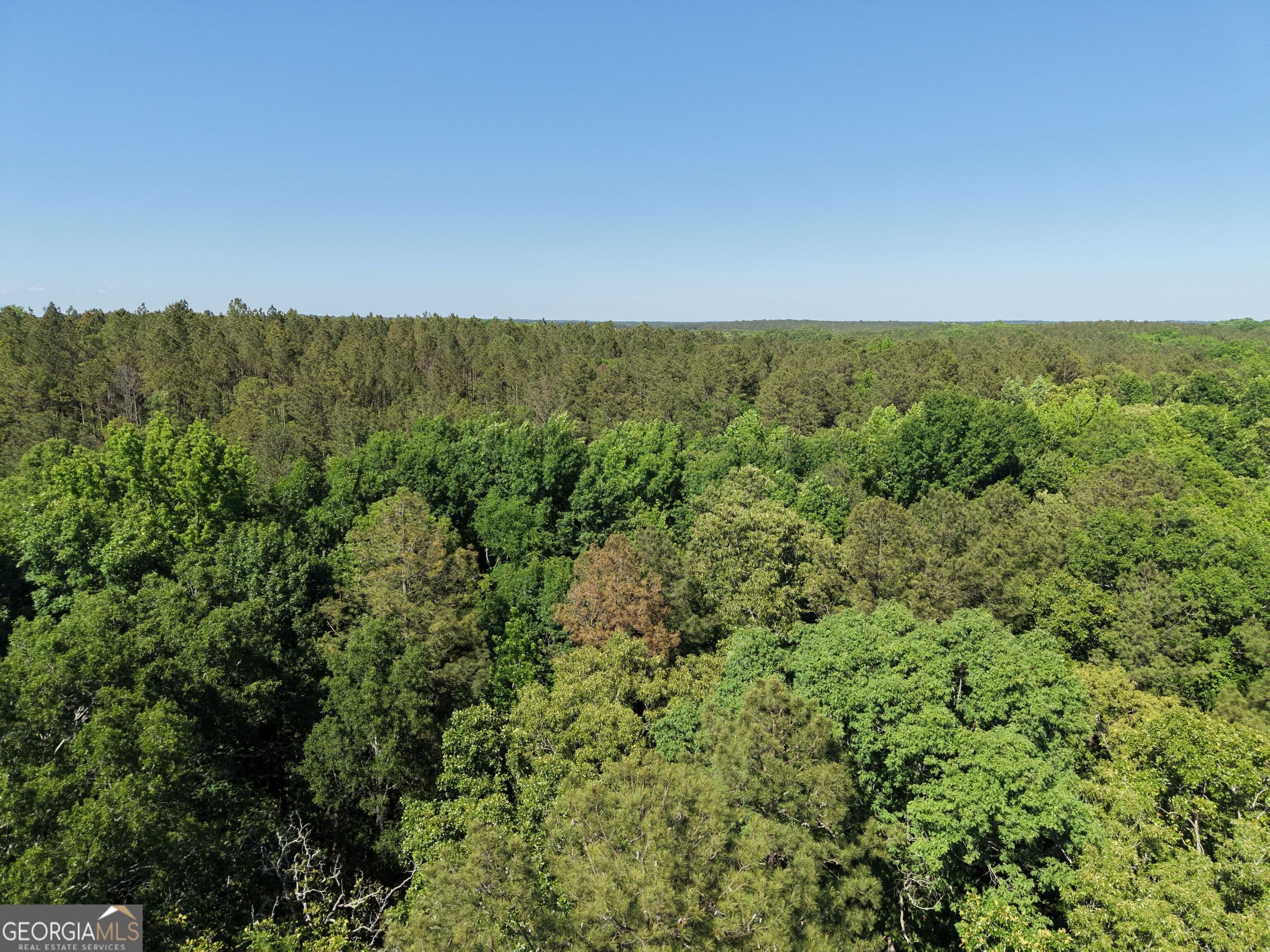 580 Saggus Road Property Photo 16