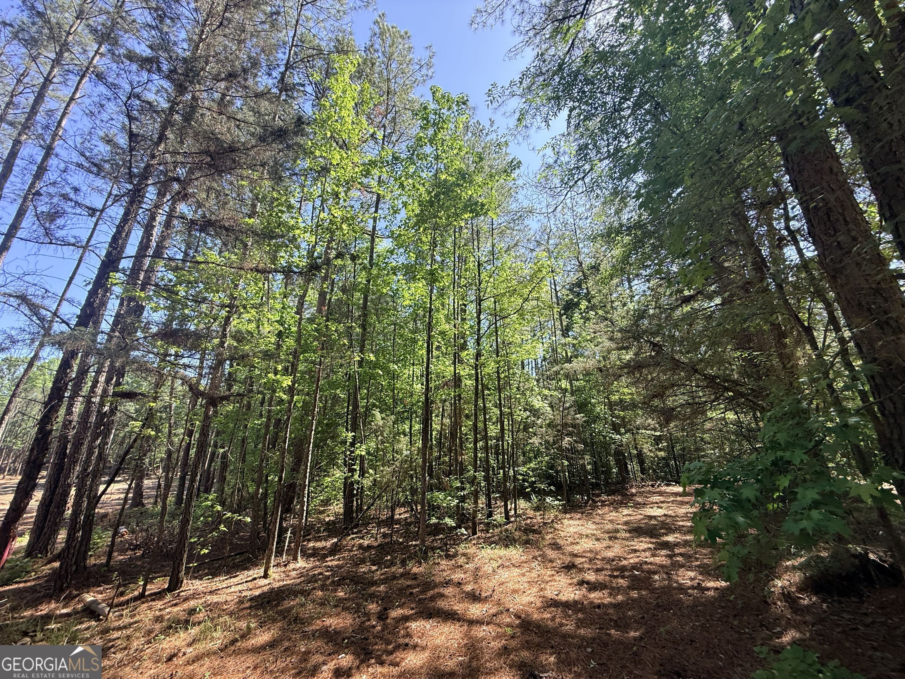 580 Saggus Road Property Photo 19