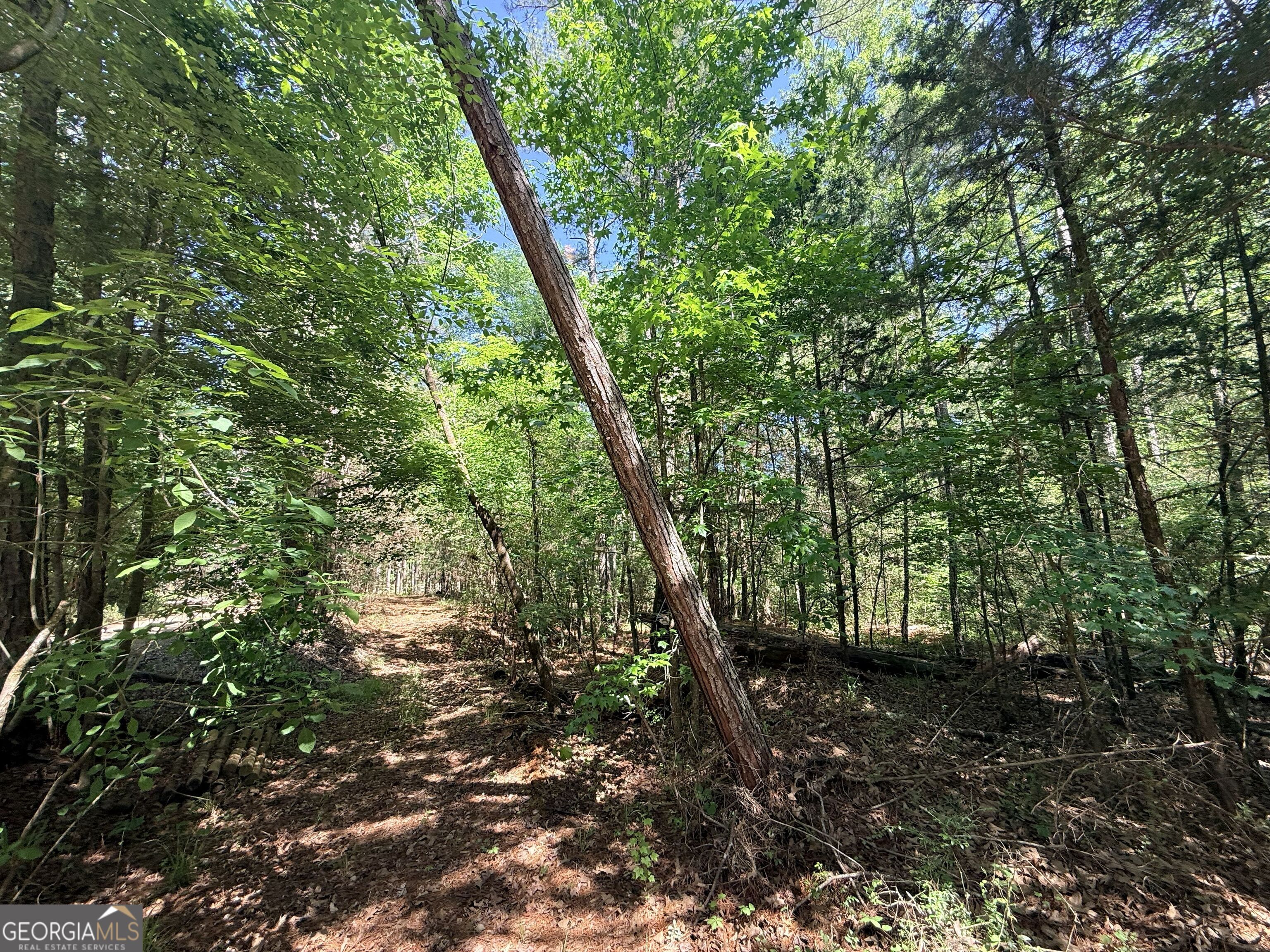 580 Saggus Road Property Photo 20
