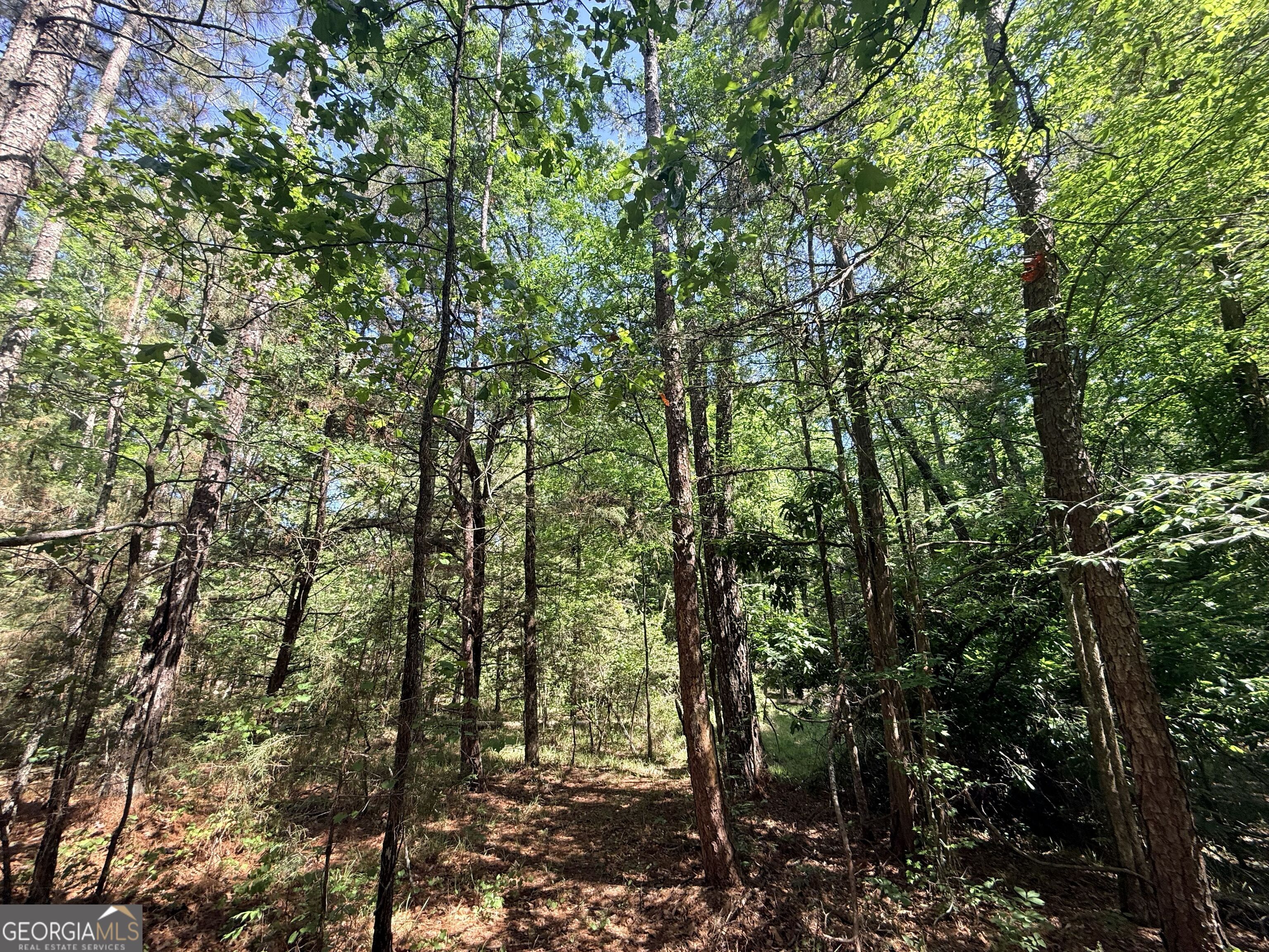 580 Saggus Road Property Photo 21