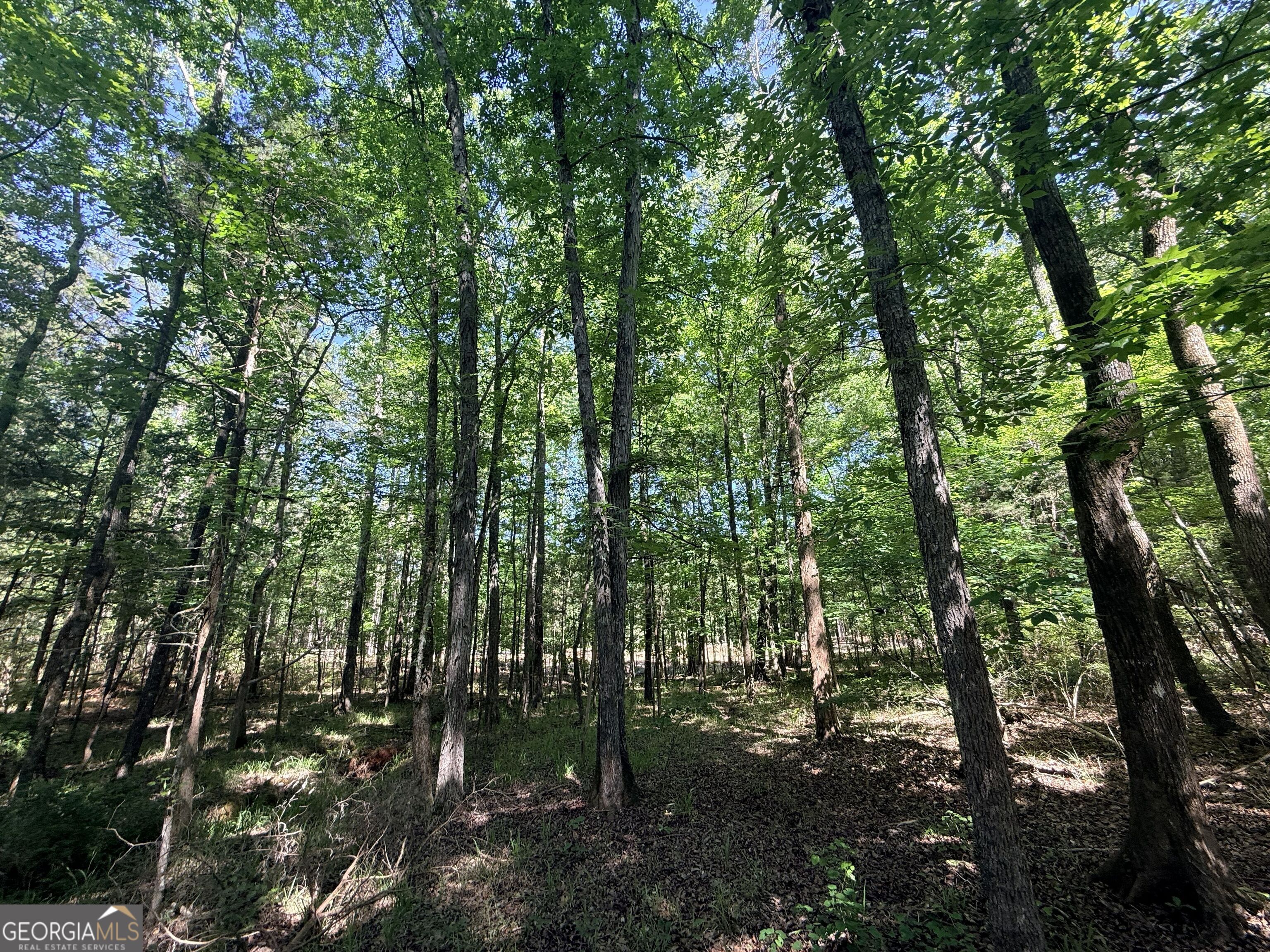 580 Saggus Road Property Photo 22