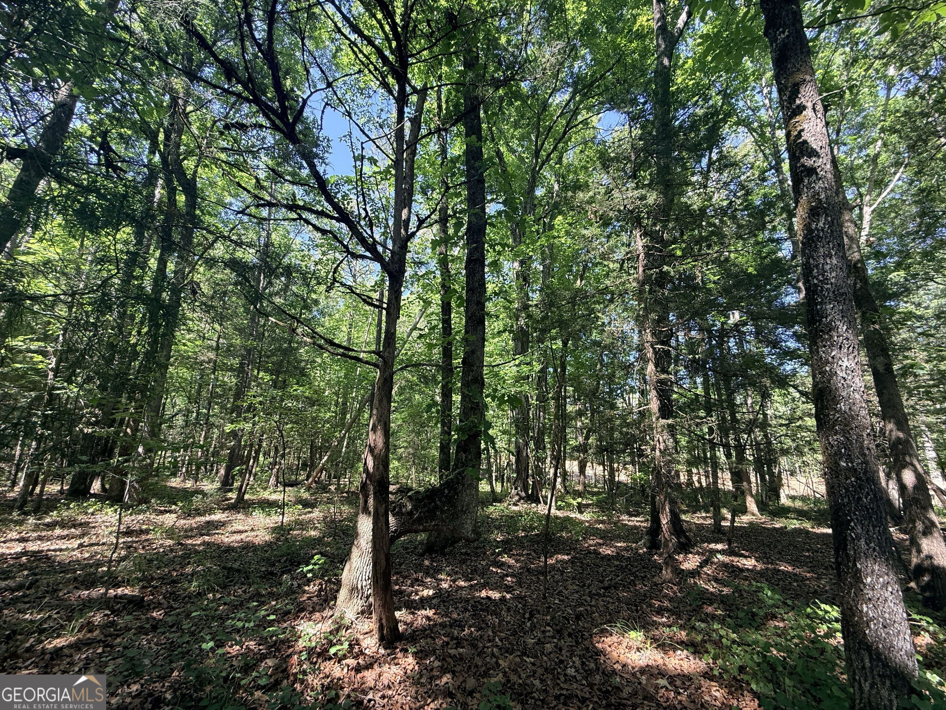 580 Saggus Road Property Photo 24