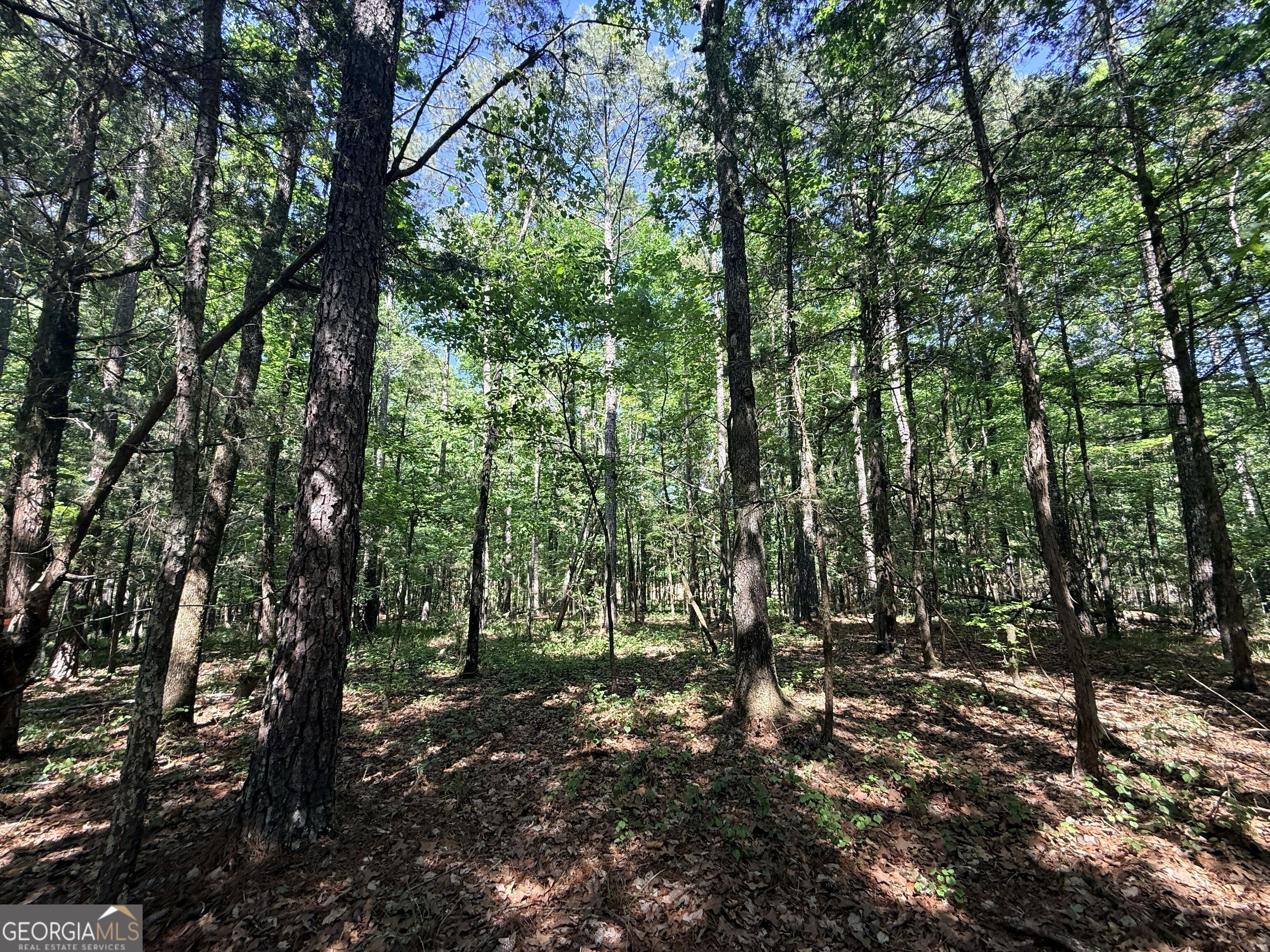 580 Saggus Road Property Photo 25