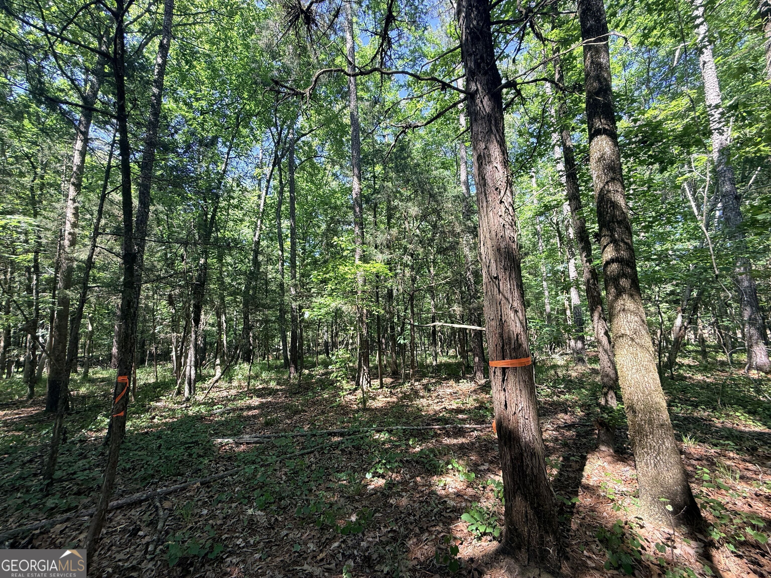 580 Saggus Road Property Photo 26