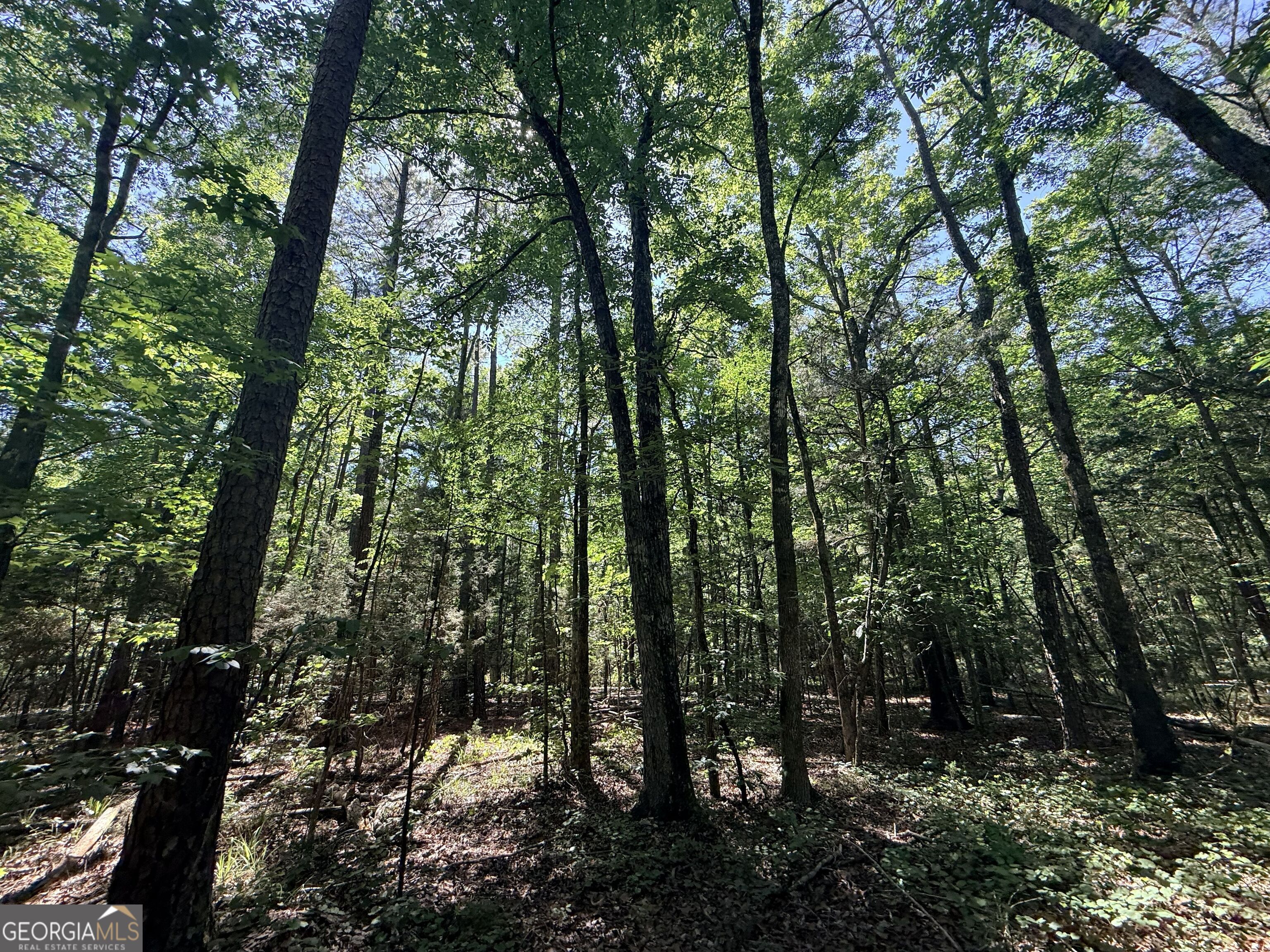 580 Saggus Road Property Photo 31