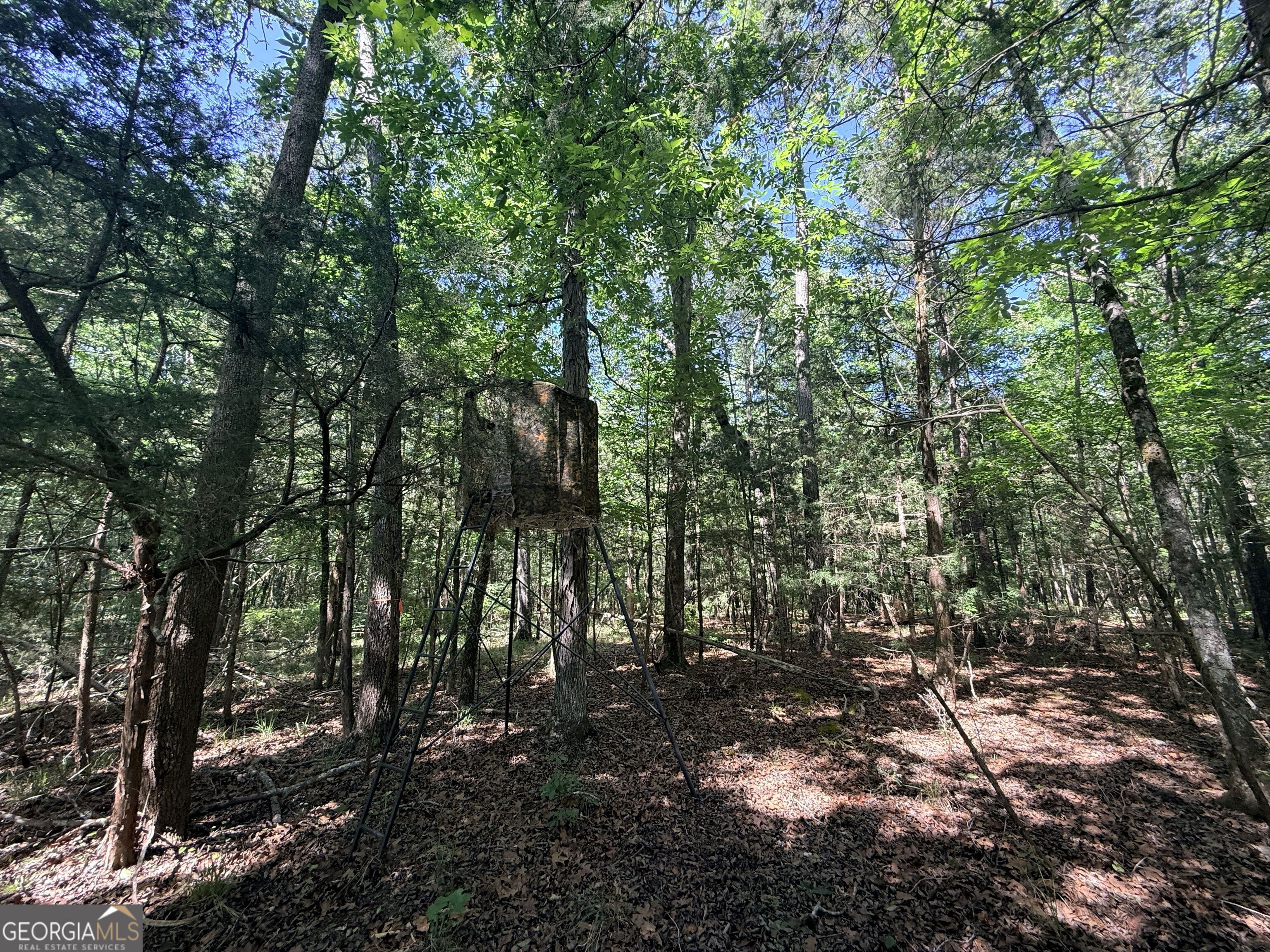 580 Saggus Road Property Photo 32