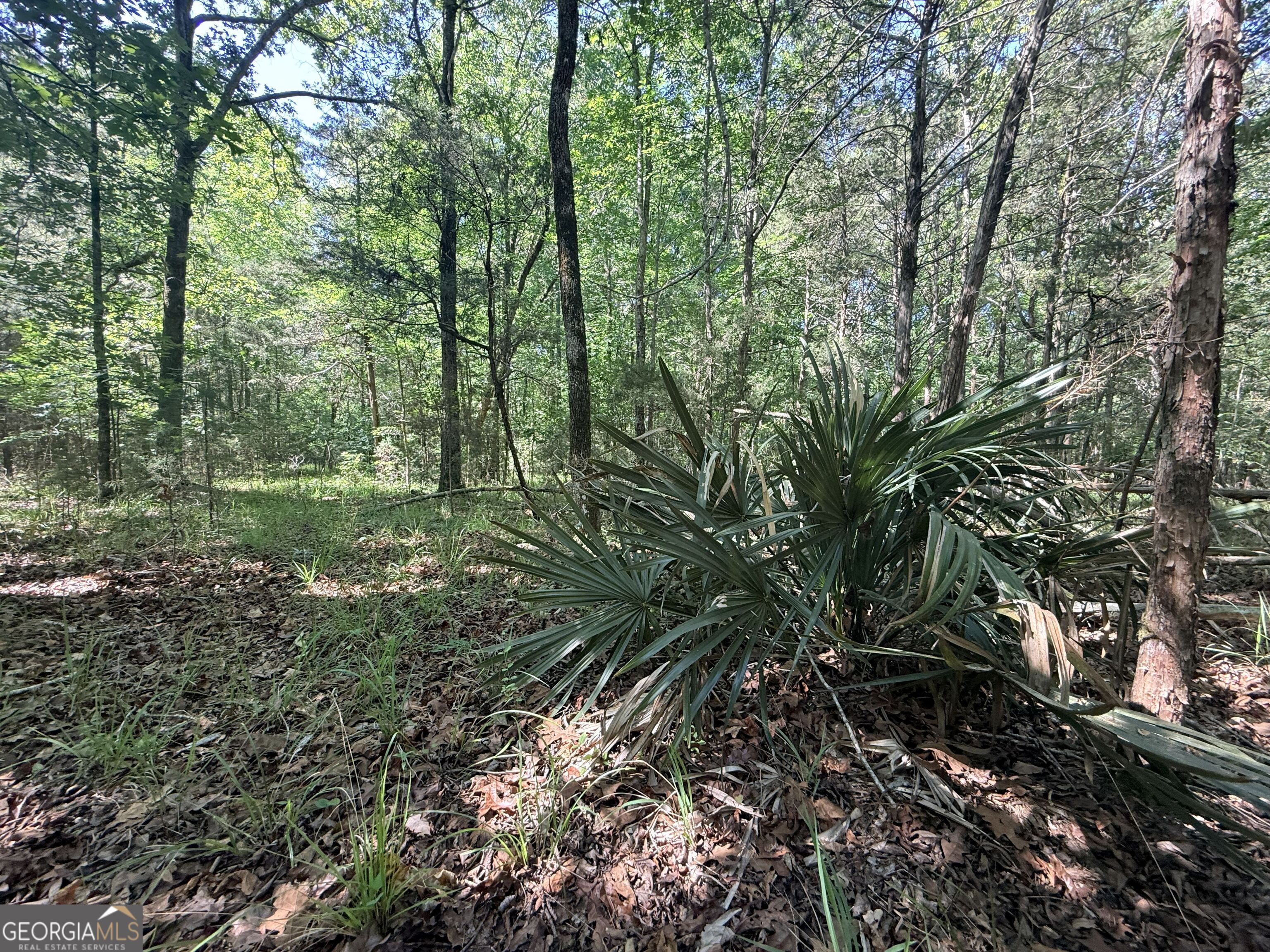 580 Saggus Road Property Photo 34
