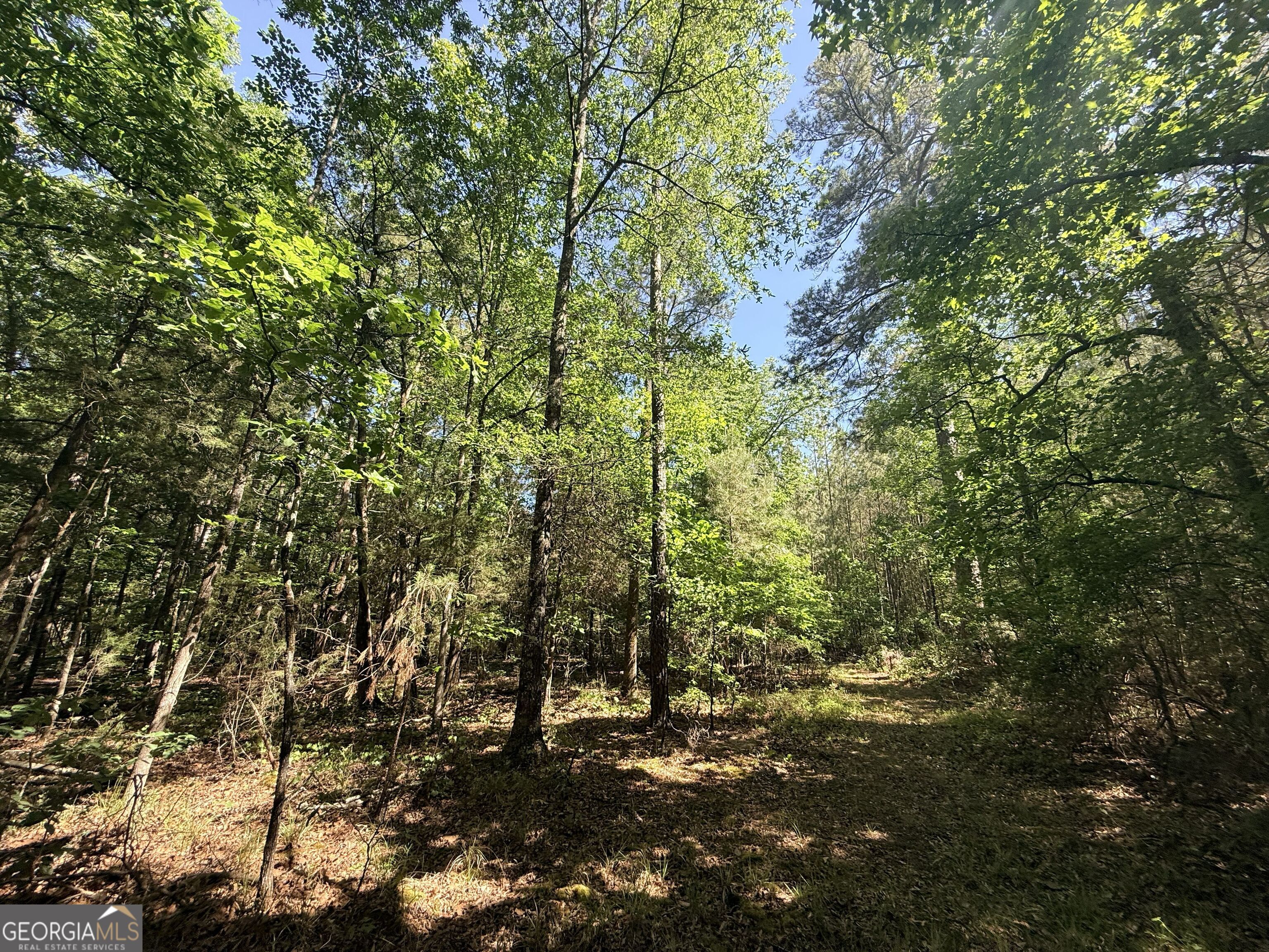 580 Saggus Road Property Photo 35