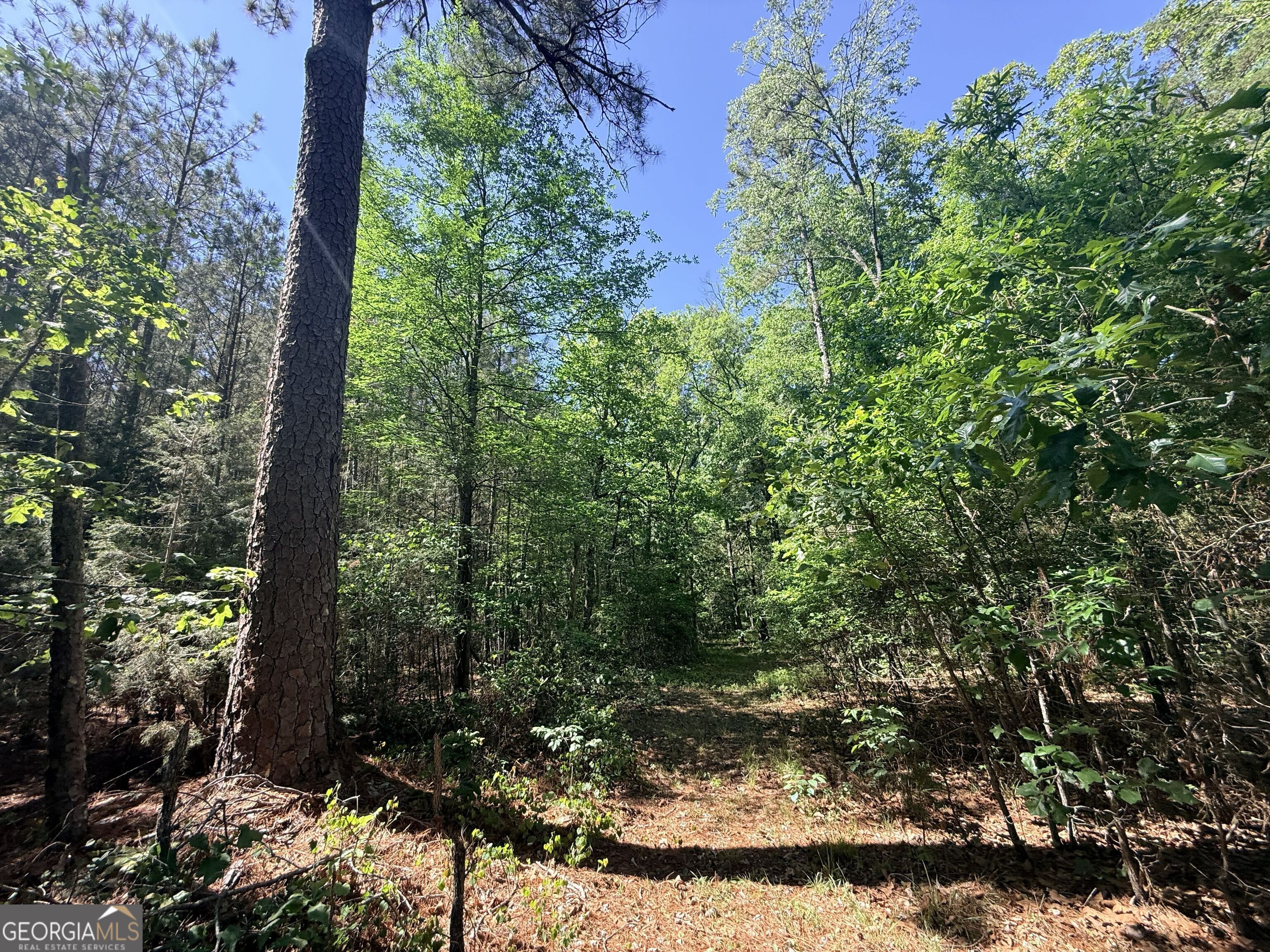 580 Saggus Road Property Photo 37