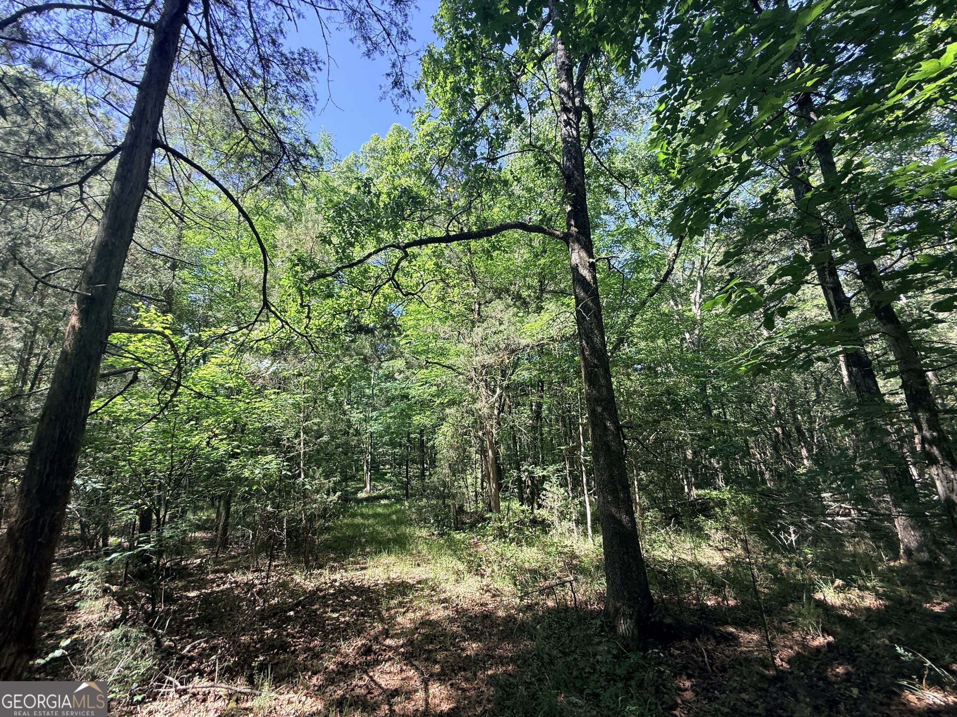 580 Saggus Road Property Photo 38