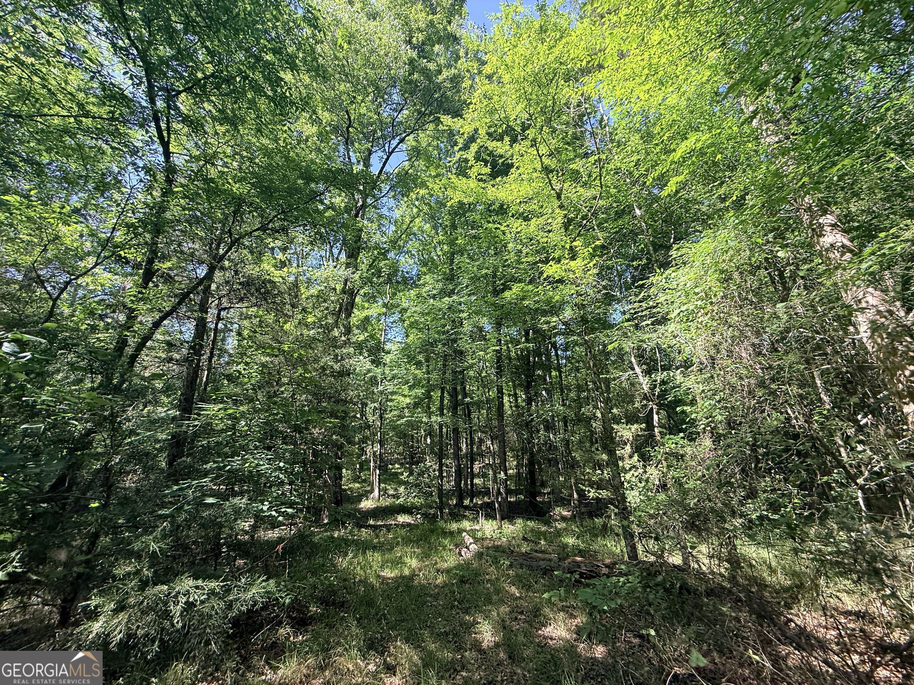 580 Saggus Road Property Photo 39