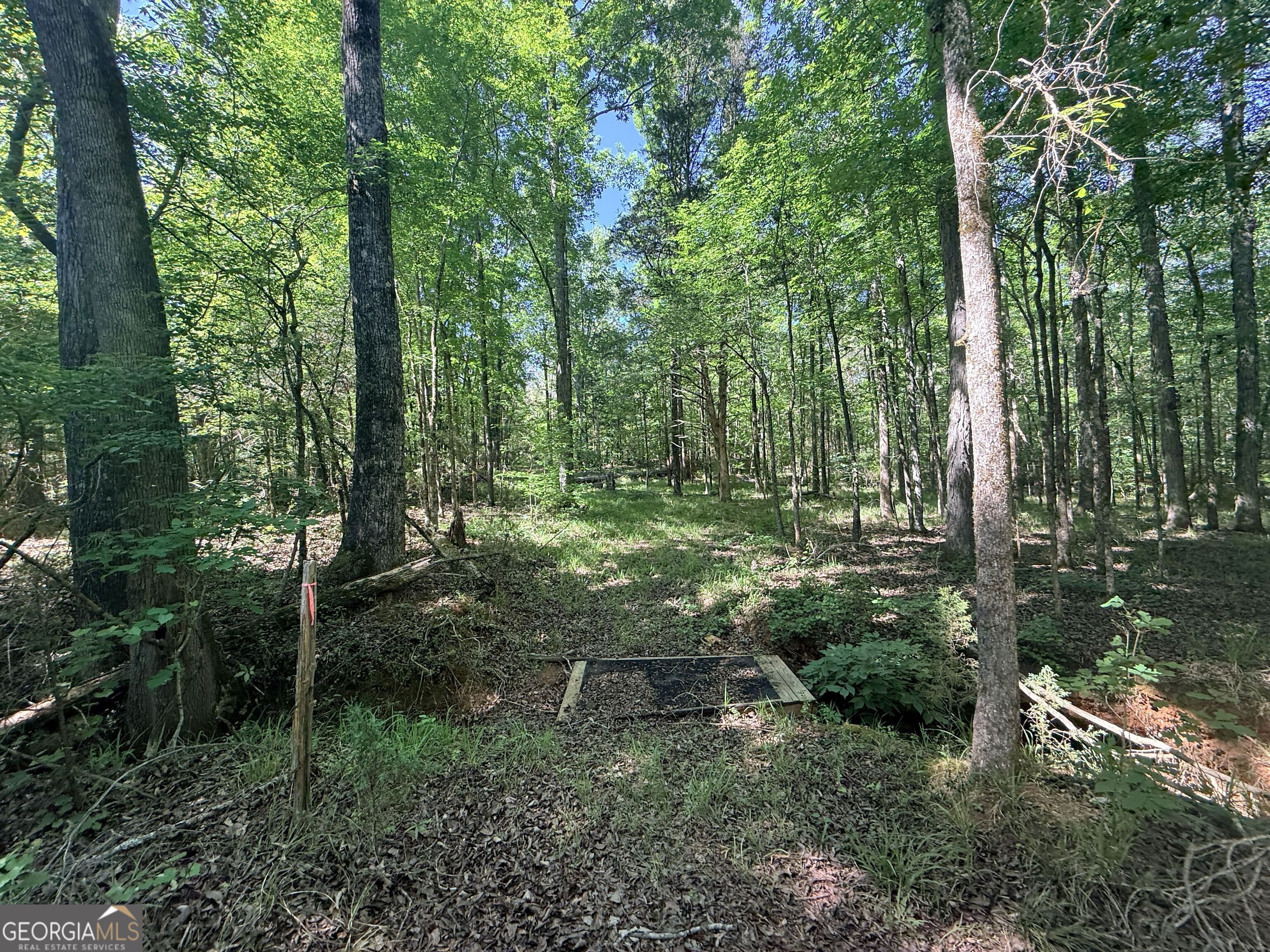 580 Saggus Road Property Photo 40