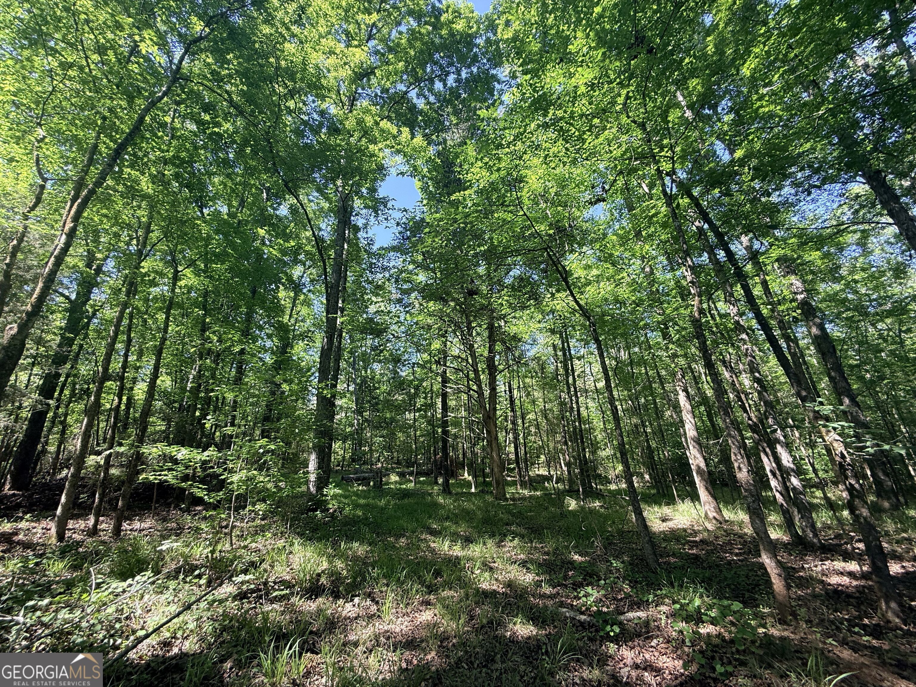 580 Saggus Road Property Photo 42