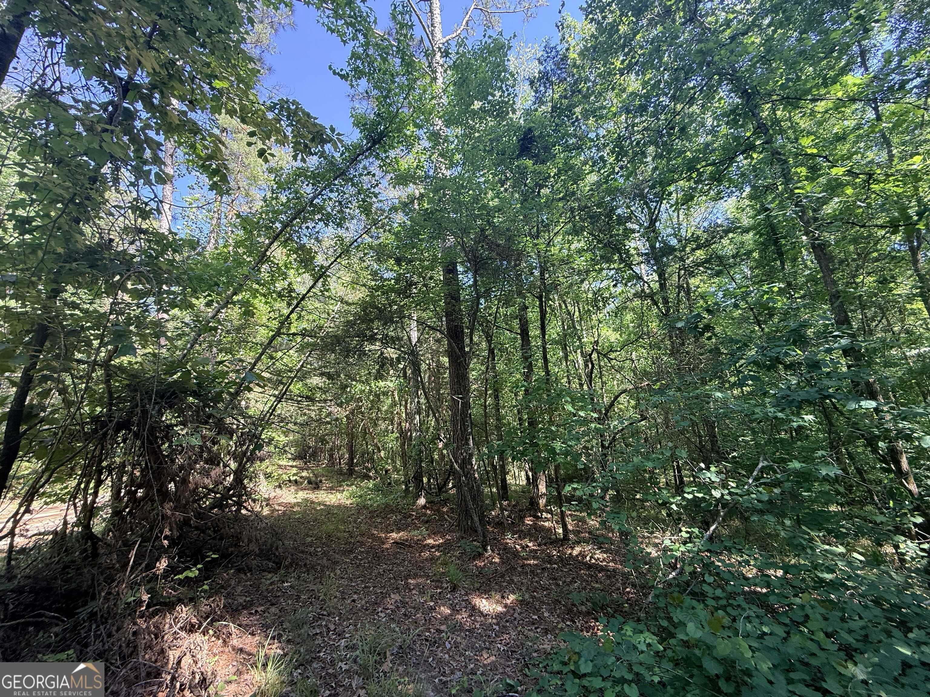 580 Saggus Road Property Photo 45