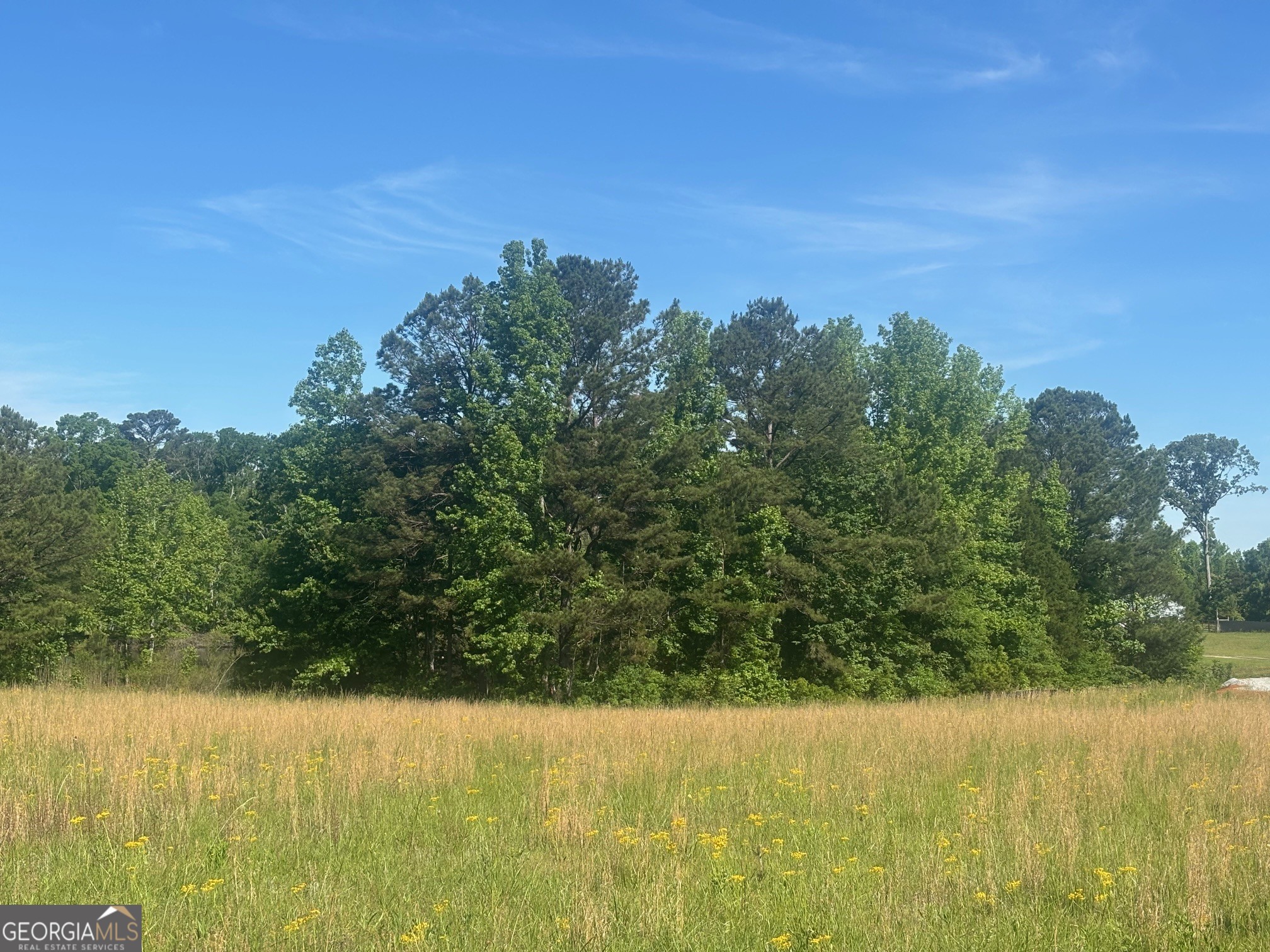 89 Davidson Road Property Photo 3