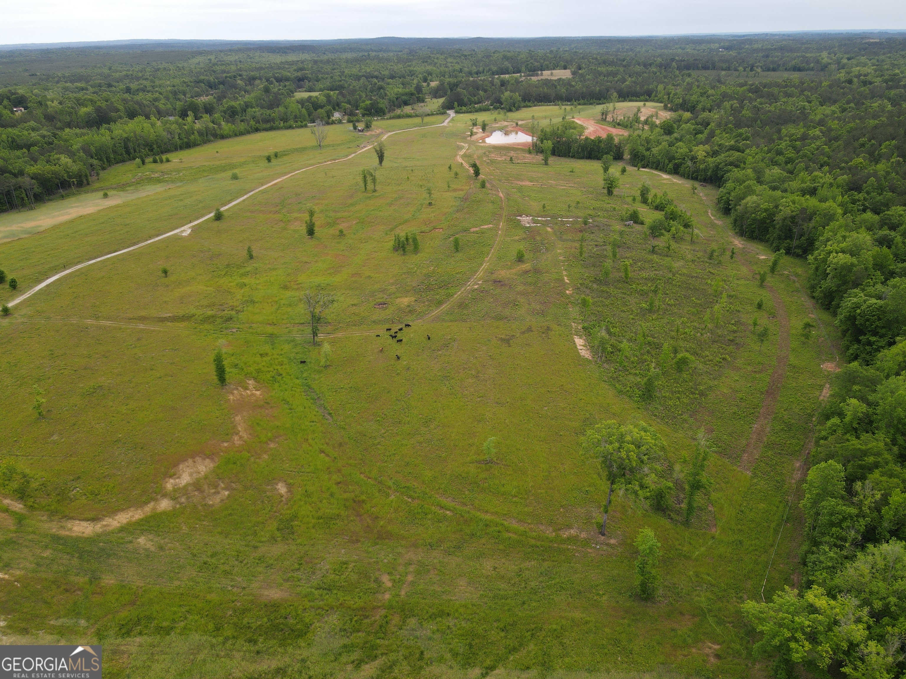 1120 Julia Jordan Road Property Photo 2