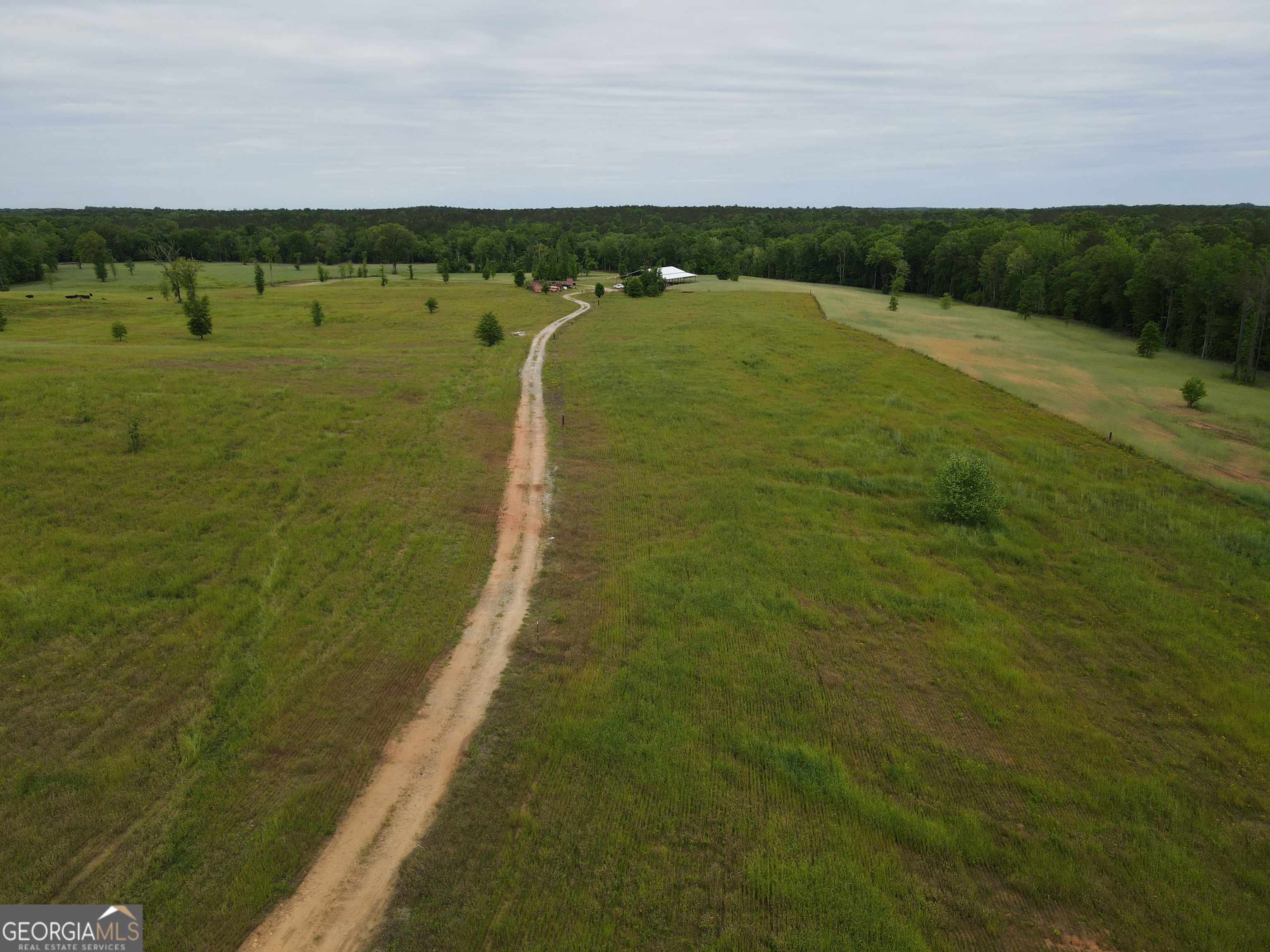 1120 Julia Jordan Road Property Photo 4
