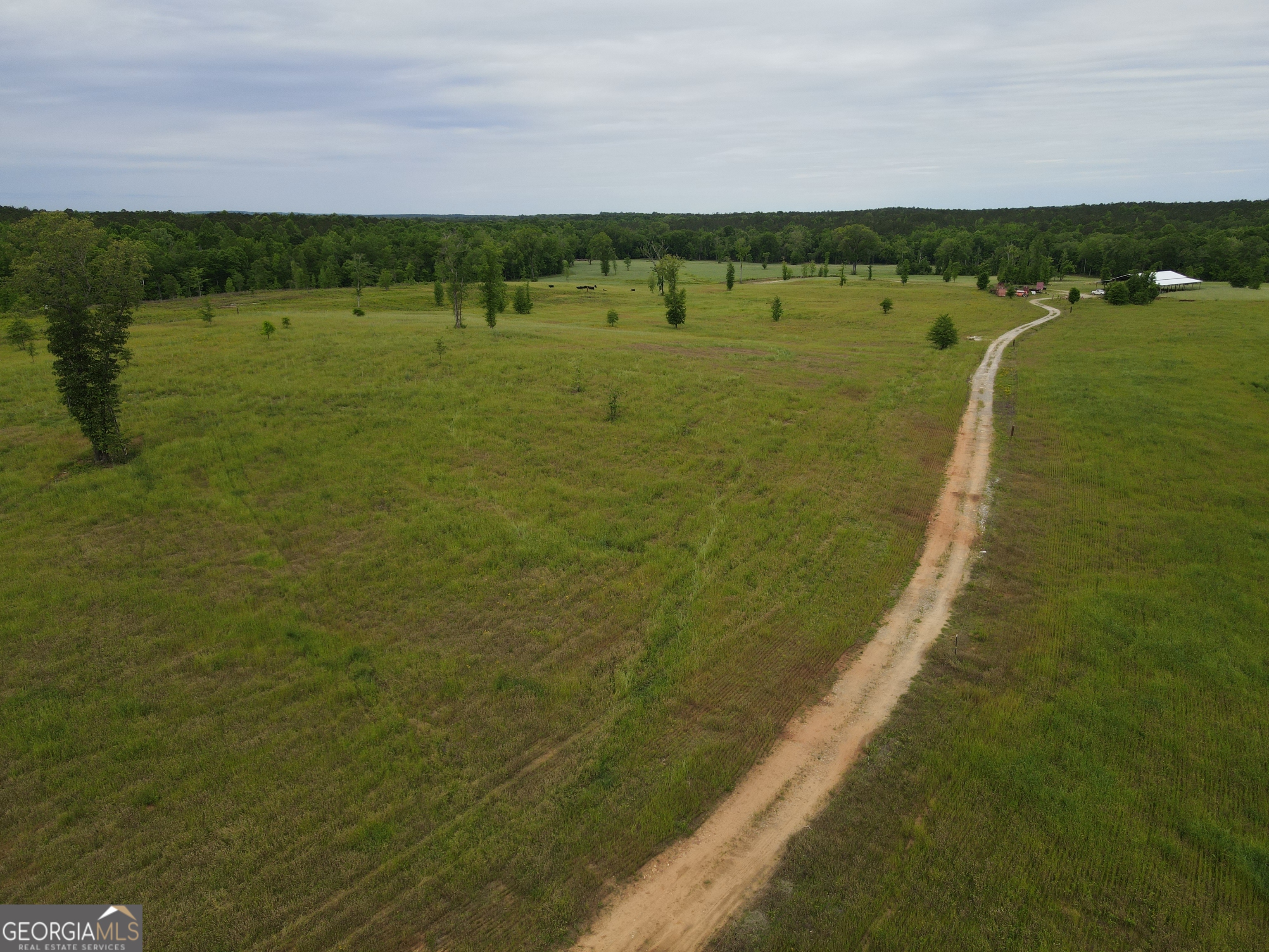 1120 Julia Jordan Road Property Photo 5