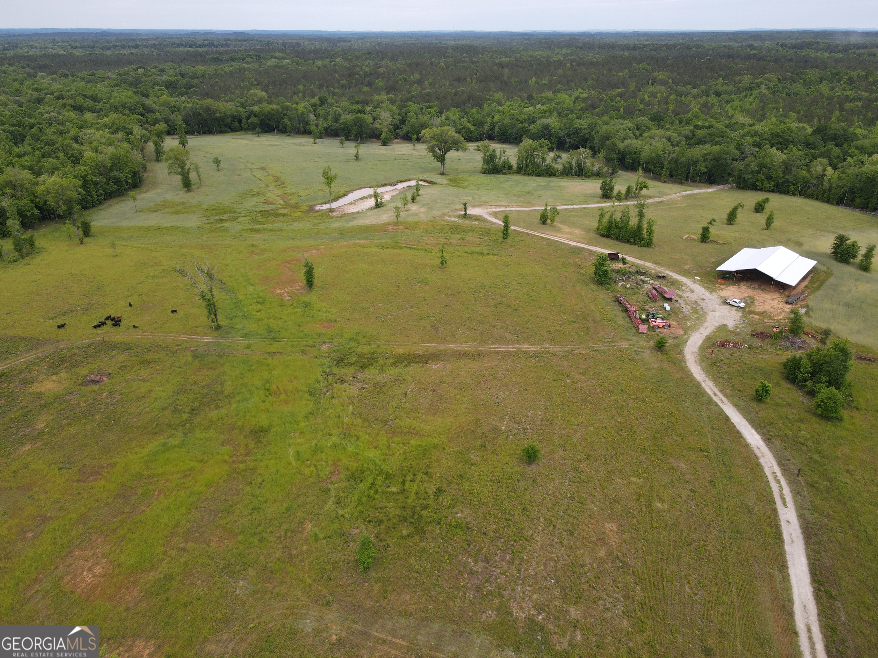 1120 Julia Jordan Road Property Photo 6
