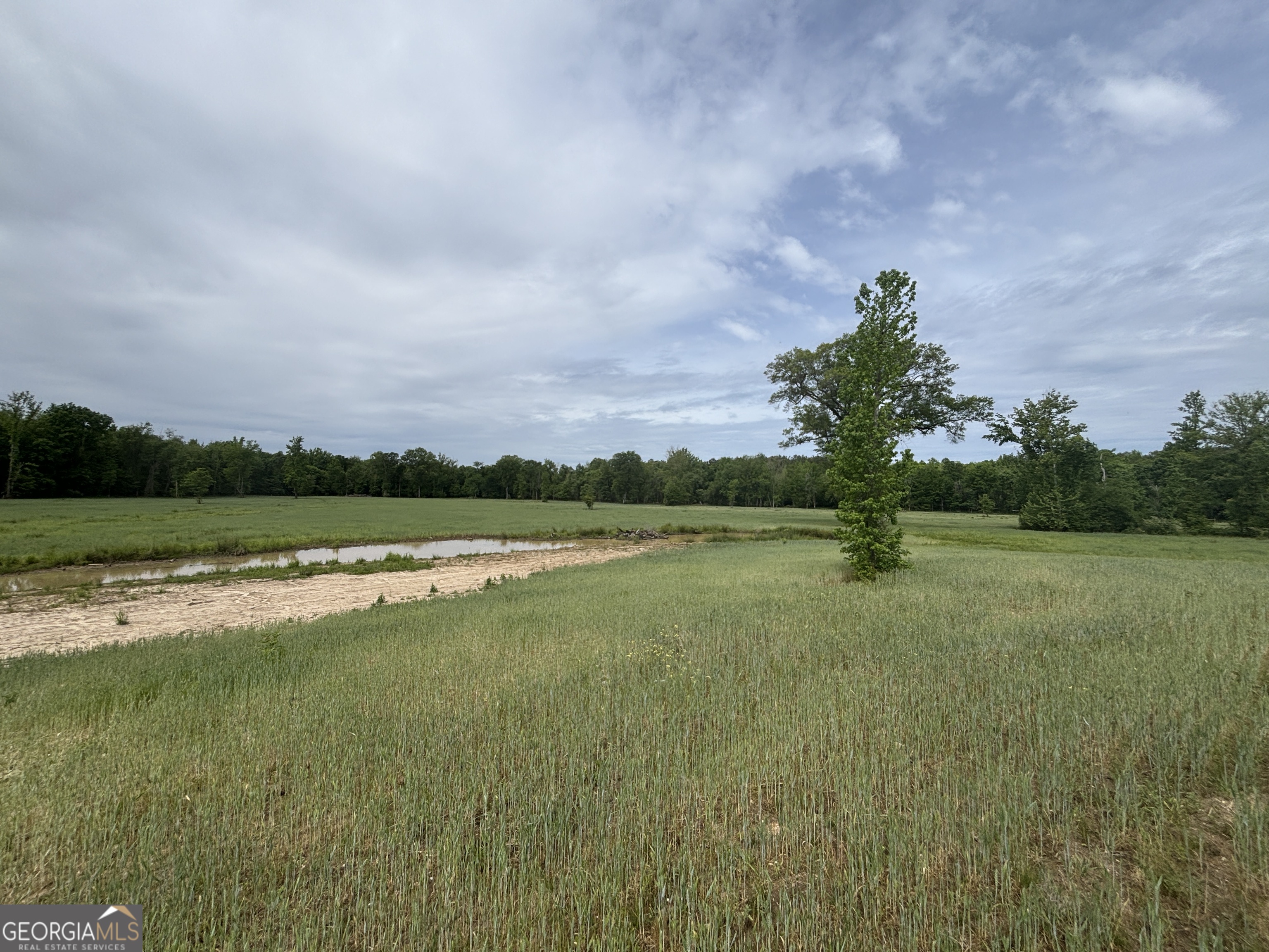 1120 Julia Jordan Road Property Photo 16