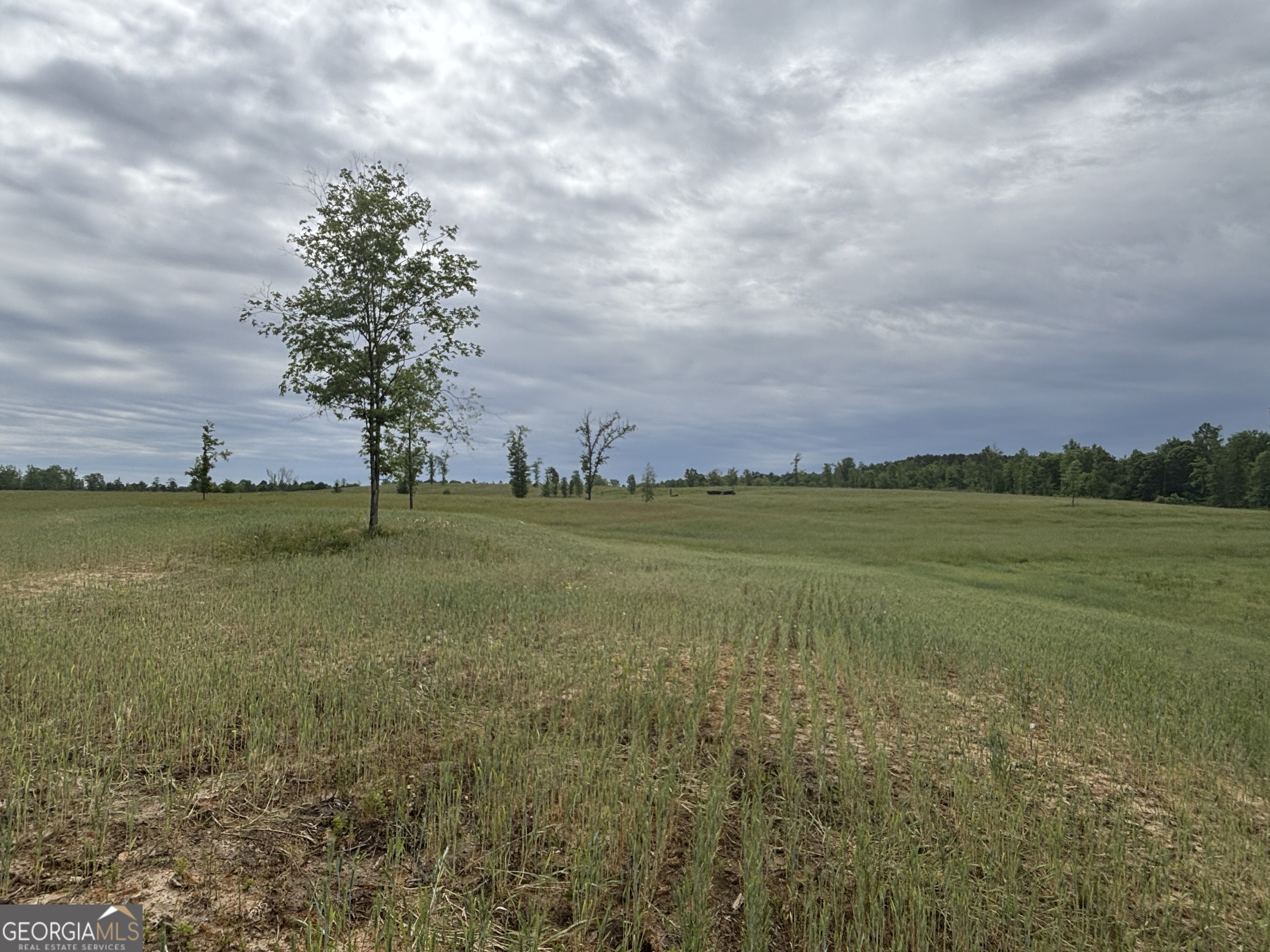 1120 Julia Jordan Road Property Photo 19