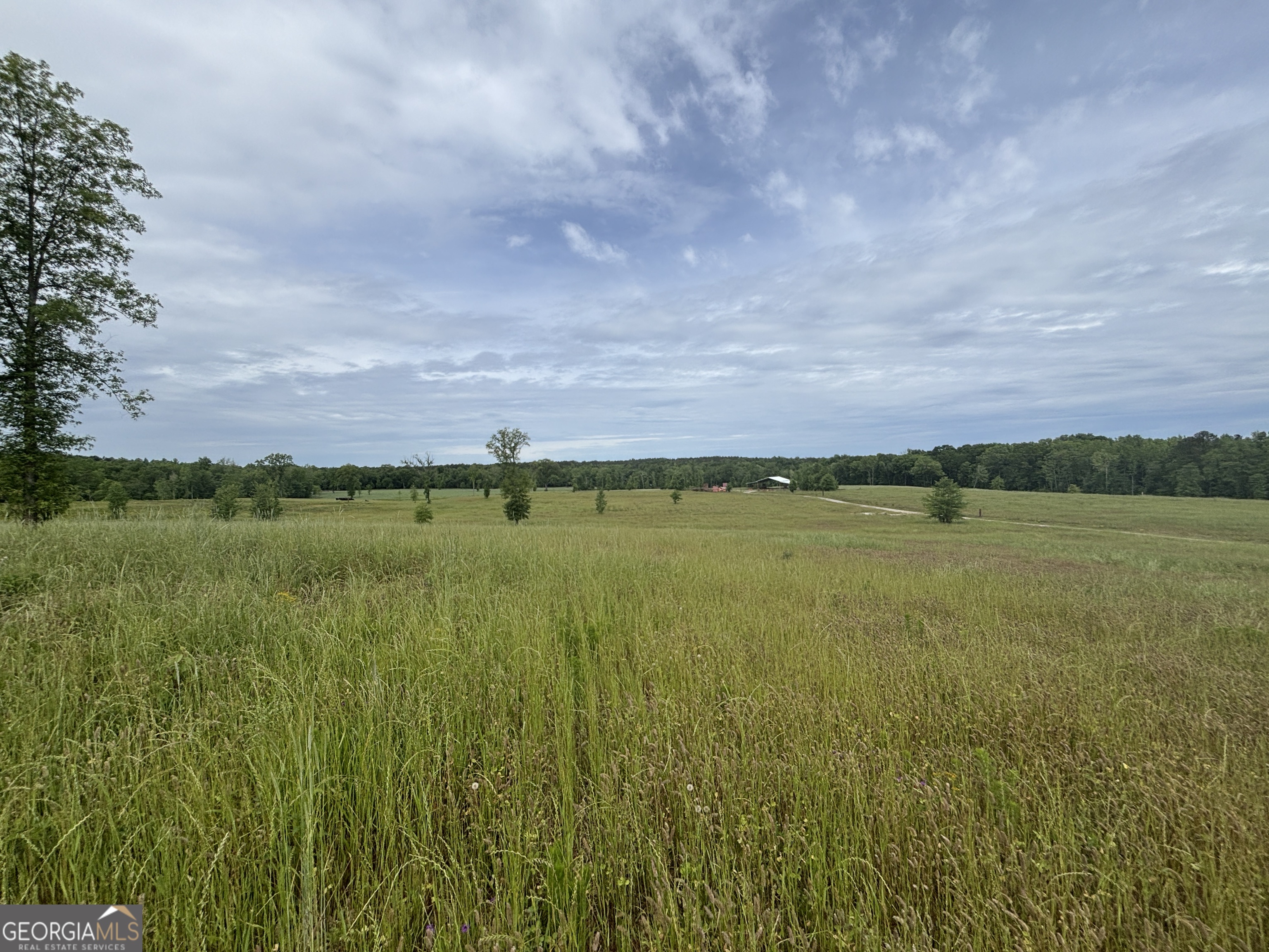 1120 Julia Jordan Road Property Photo 20