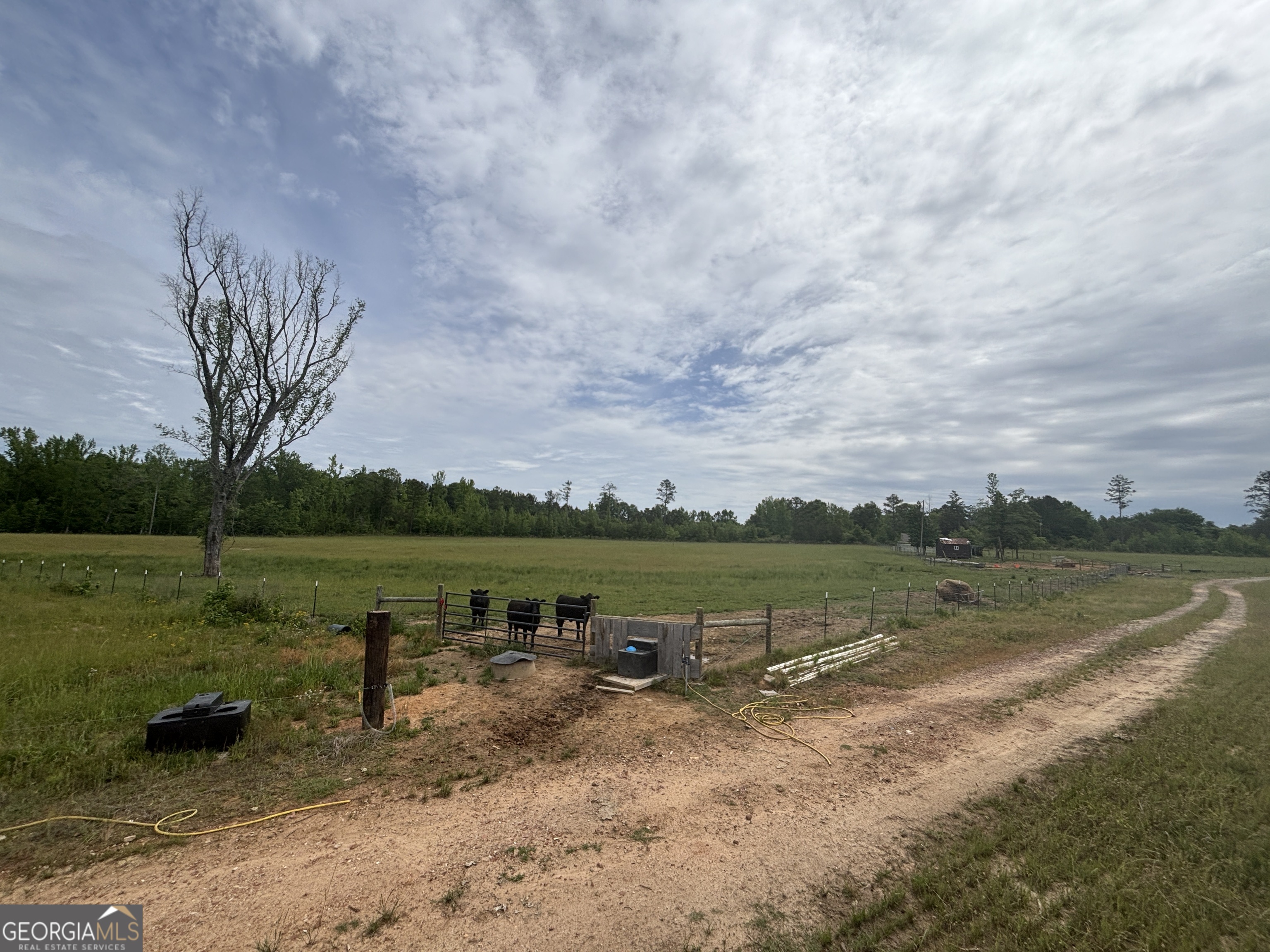 1120 Julia Jordan Road Property Photo 22