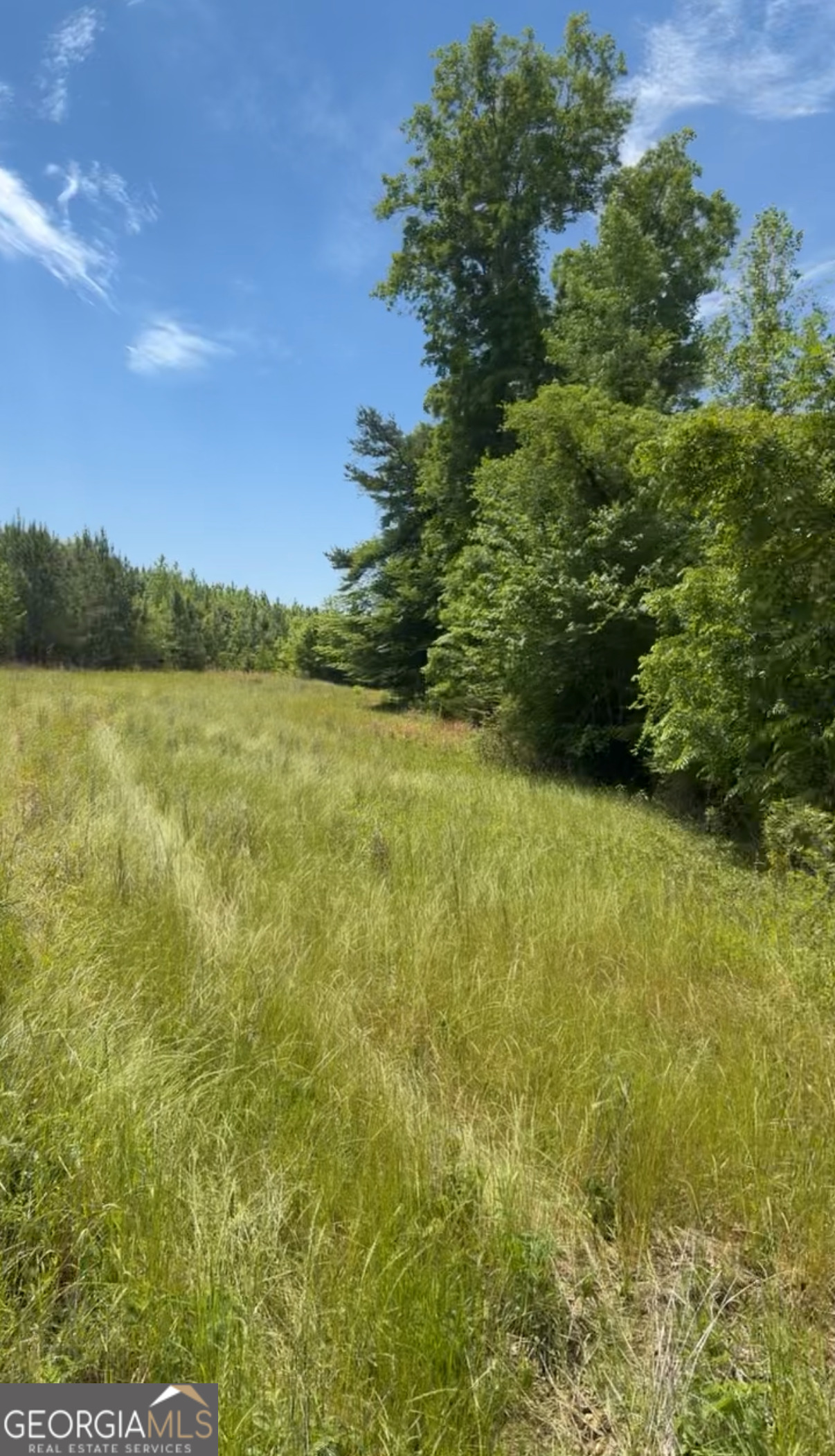 0 County Road 231 Property Photo 3