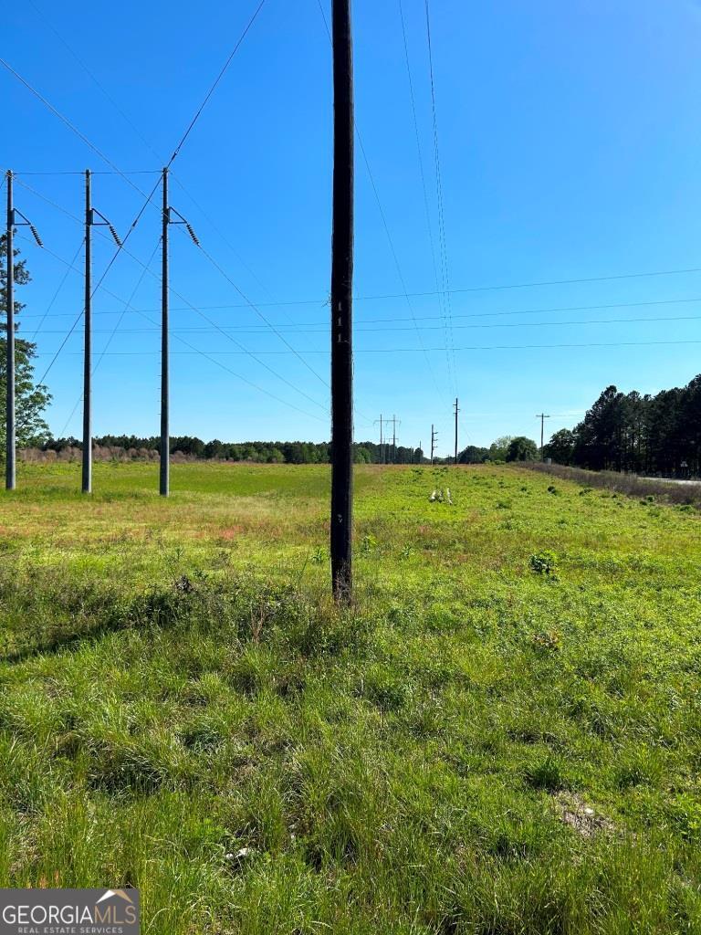 0 Hwy 301 N. & Old River Road Property Photo 3