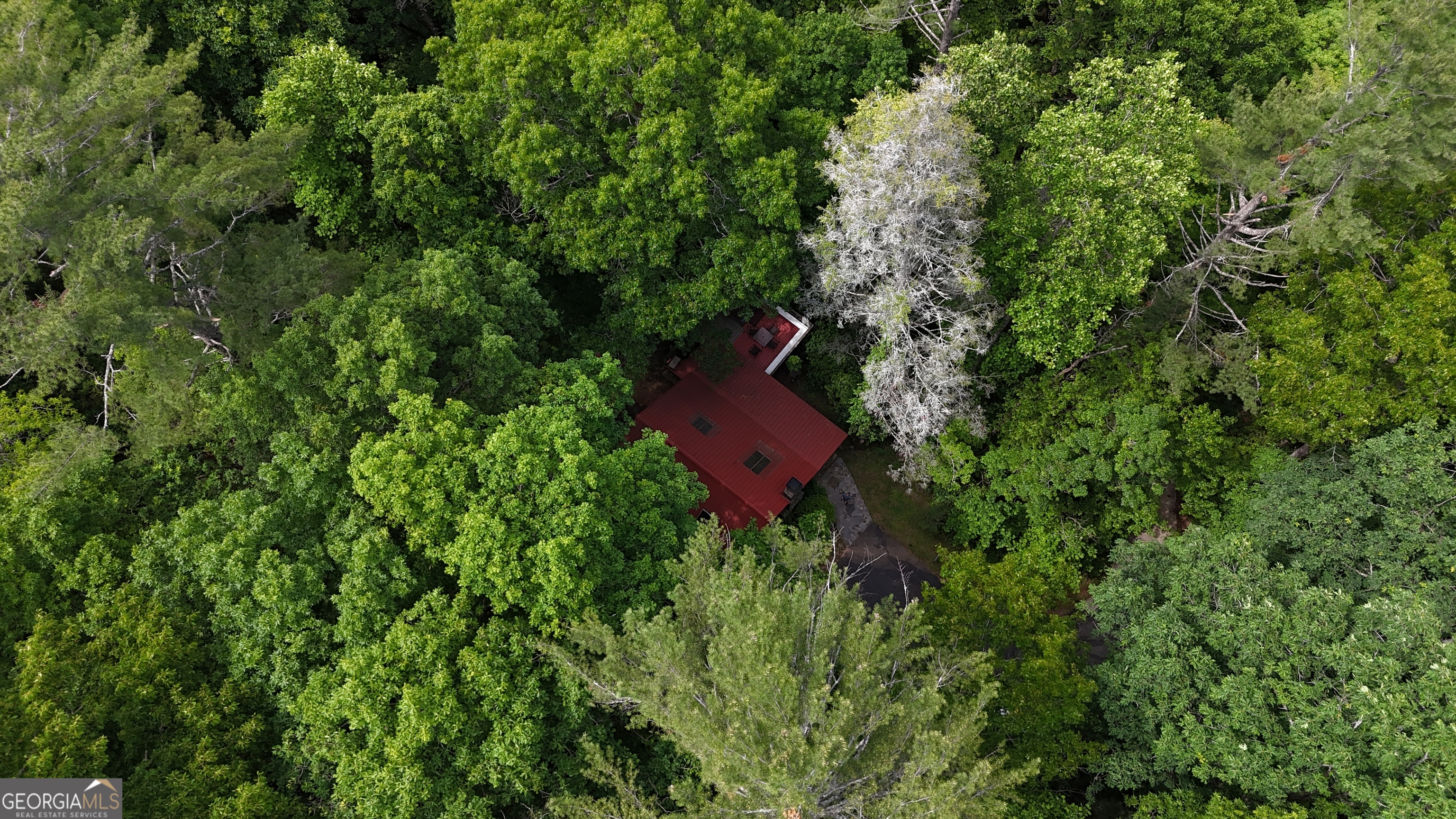 192 Wilderland Trail Property Photo 39