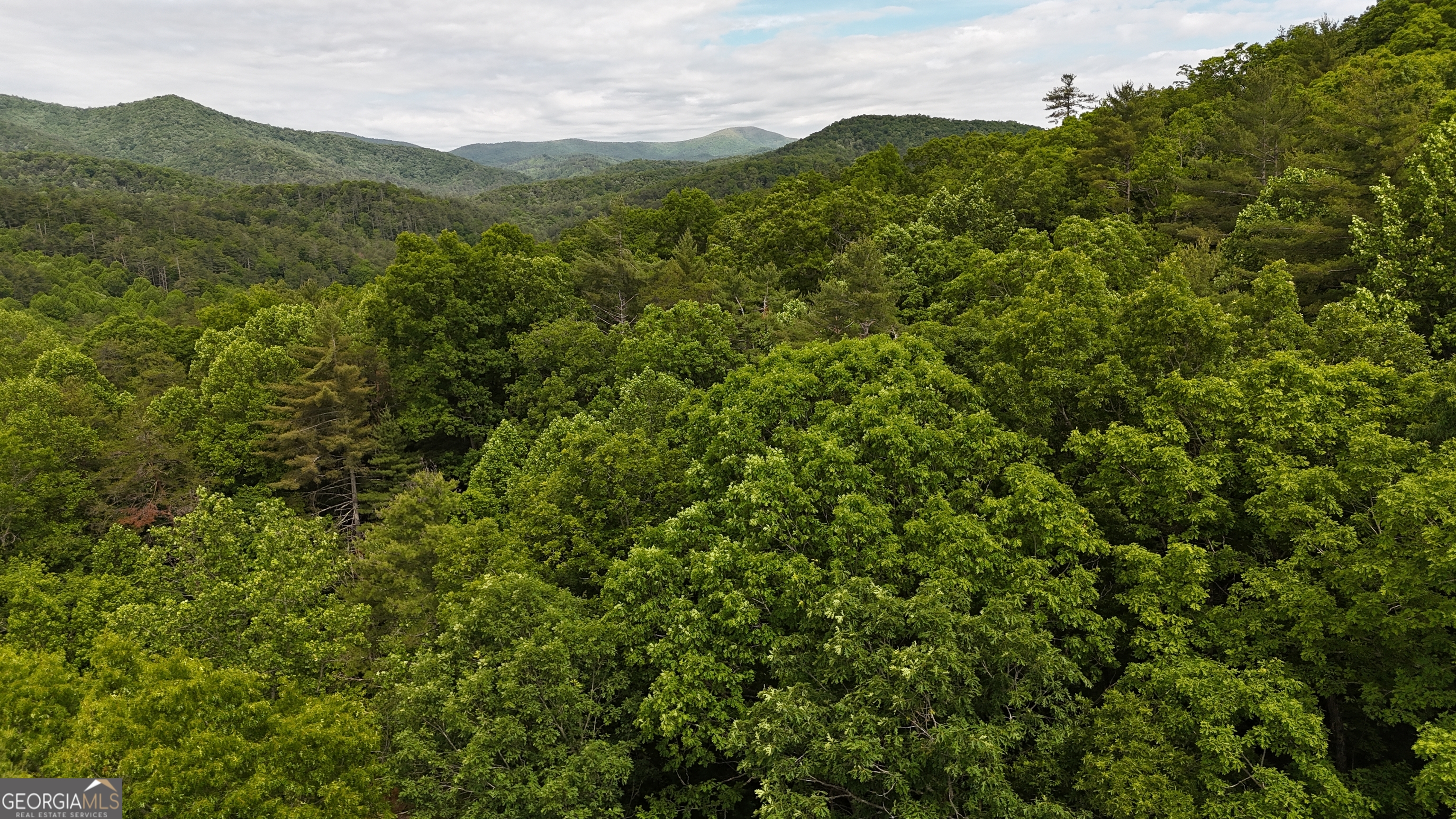 192 Wilderland Trail Property Photo 40