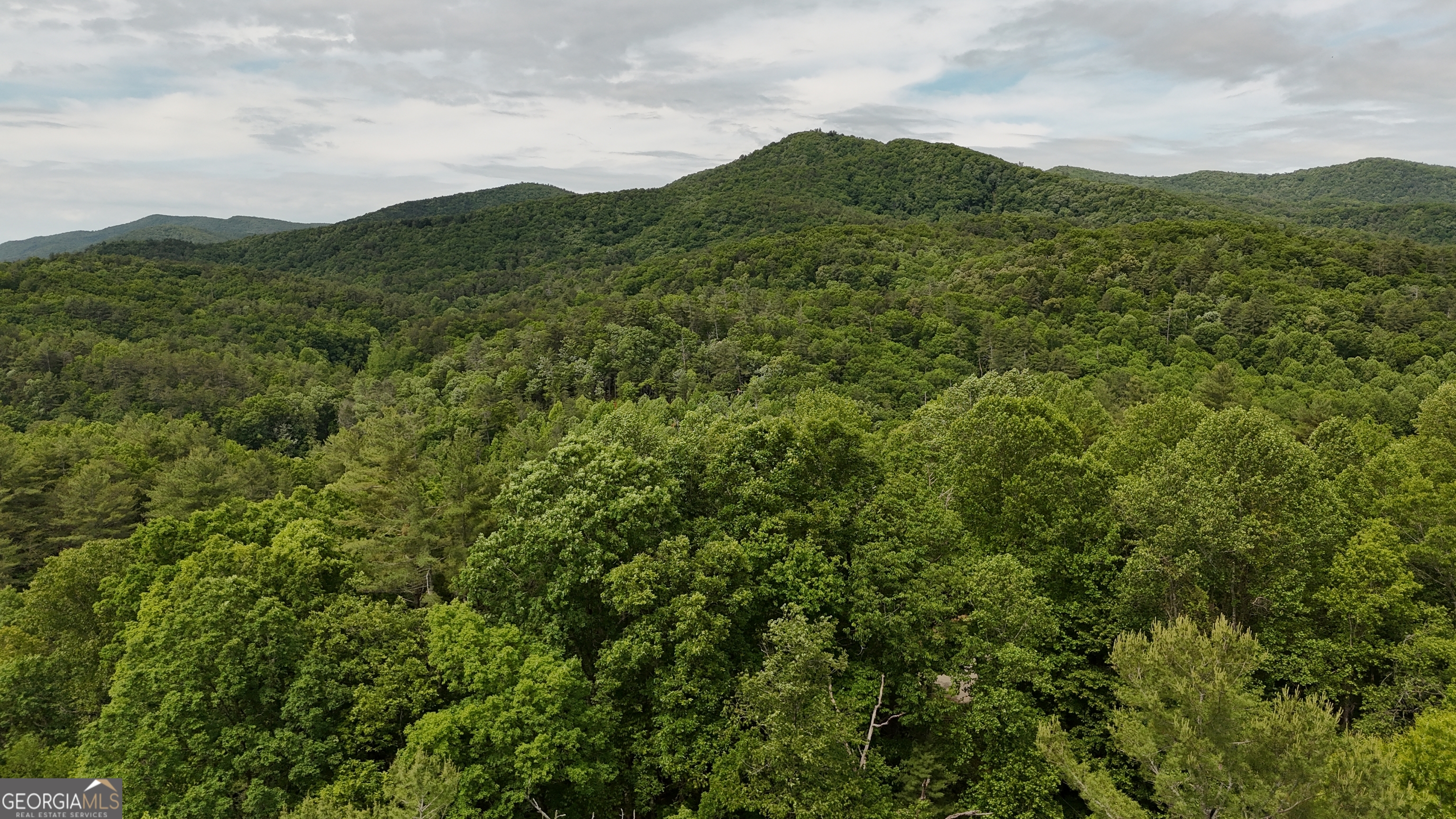 192 Wilderland Trail Property Photo 41