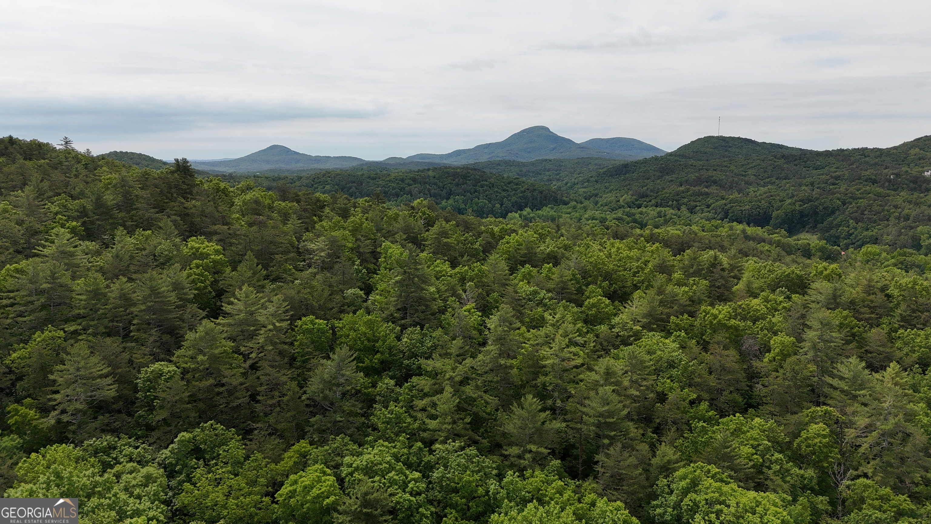 192 Wilderland Trail Property Photo 42