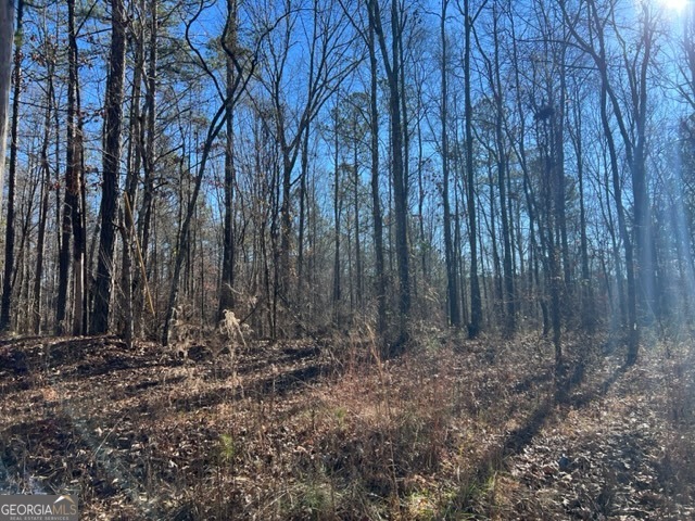 0 Creek Road Property Photo 2