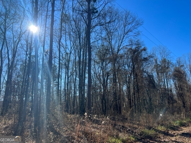 0 Creek Road Property Photo 3