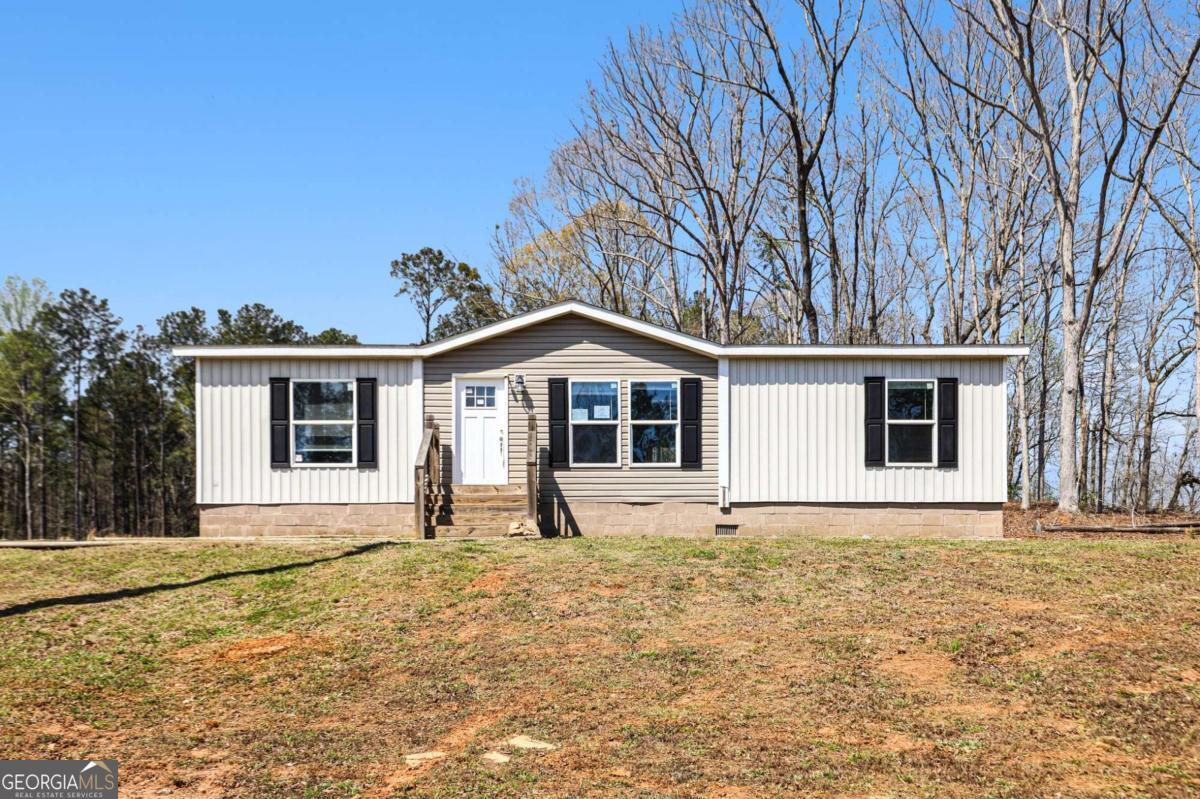 14315 Ga Highway 100 Property Photo 1