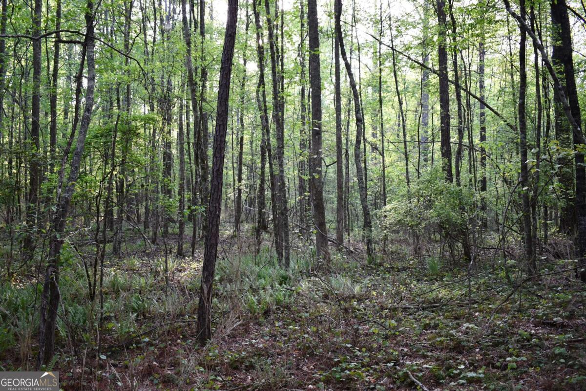 00004 Windridge Lane Property Photo 1