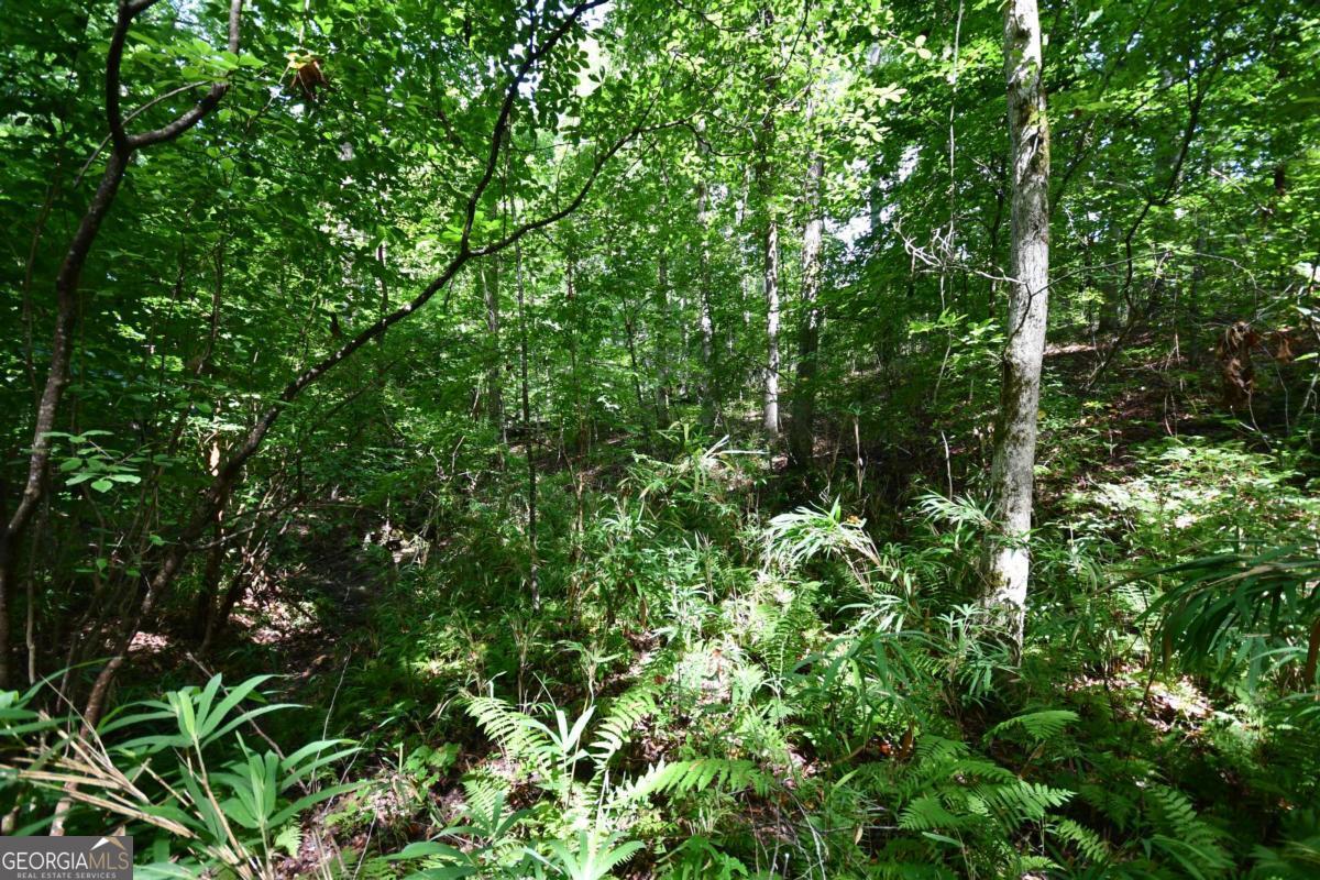 00008 Windridge Lane Property Photo 15