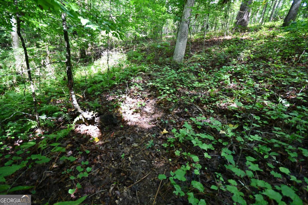 00008 Windridge Lane Property Photo 16
