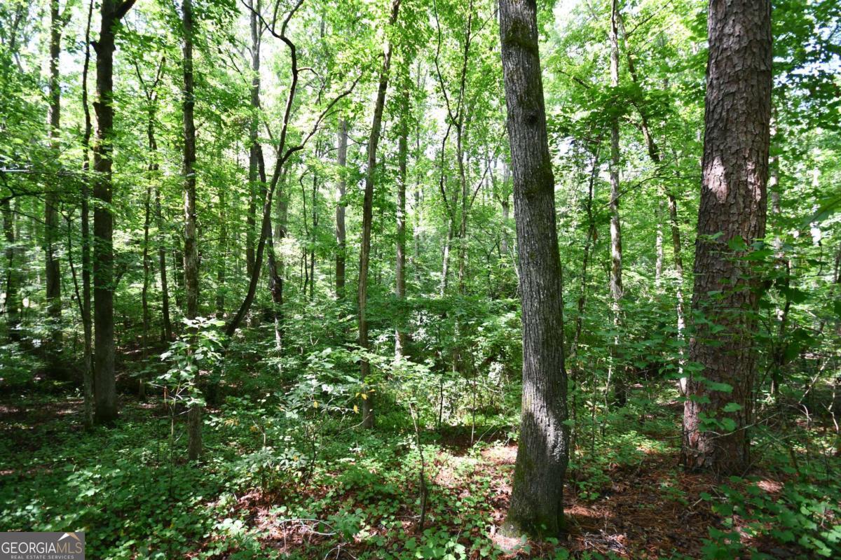 00008 Windridge Lane Property Photo 17