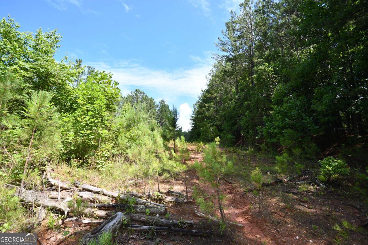 00008 Windridge Lane Property Photo 19