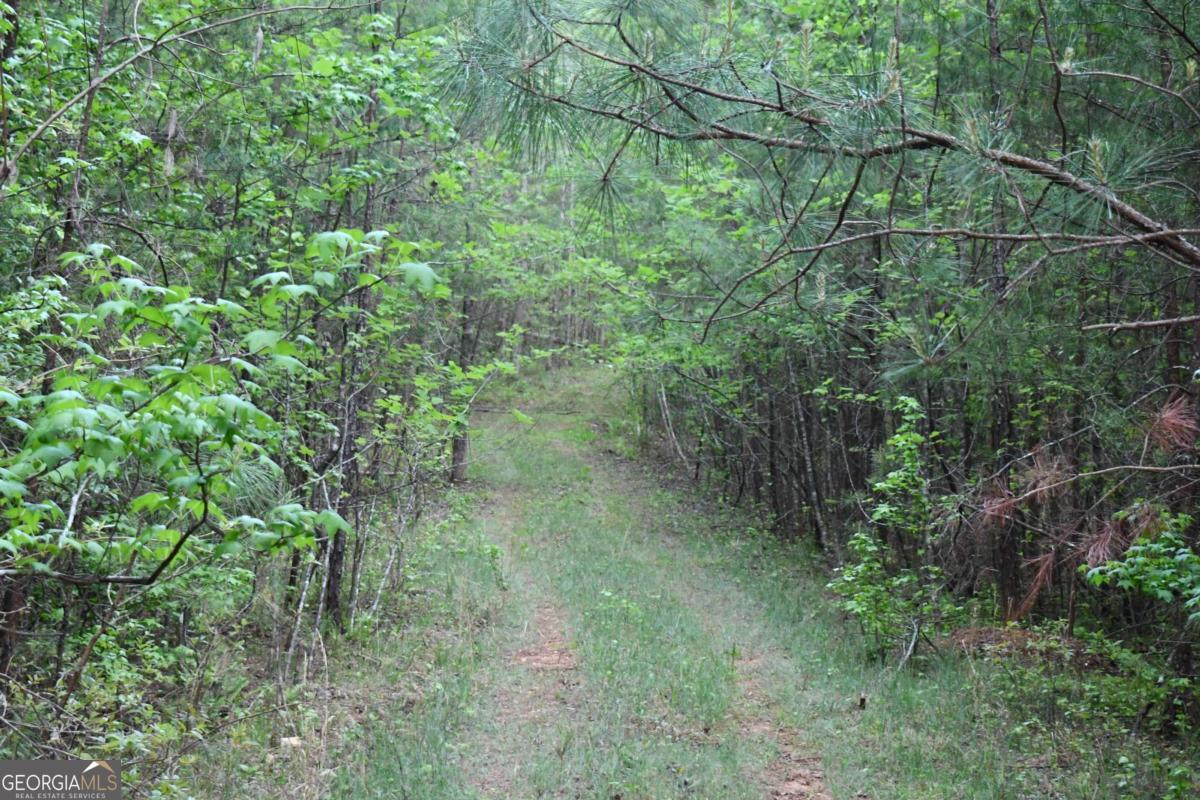 00008 Windridge Lane Property Photo 23