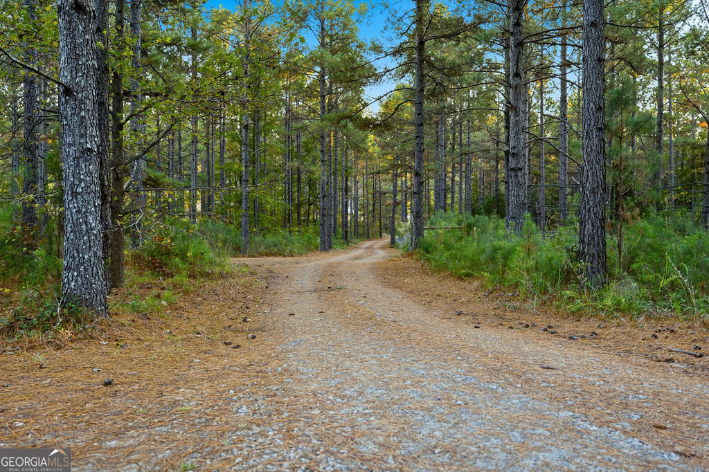 1907 Mountain Creek Church Road Property Photo 7
