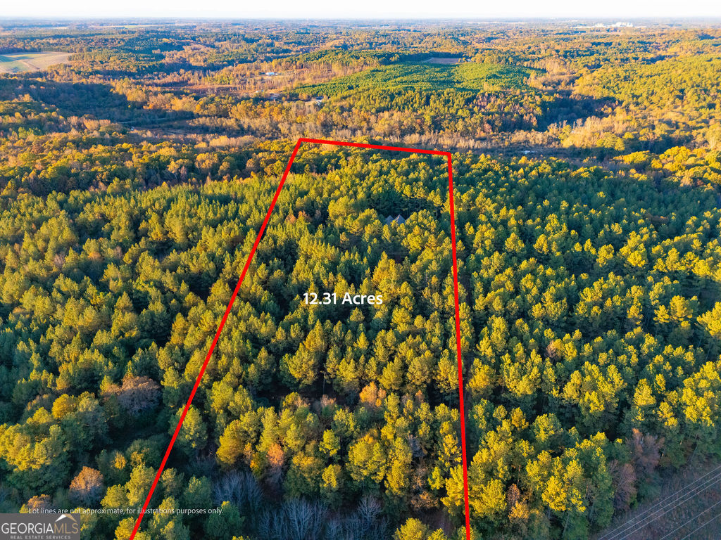1907 Mountain Creek Church Road Property Photo 27