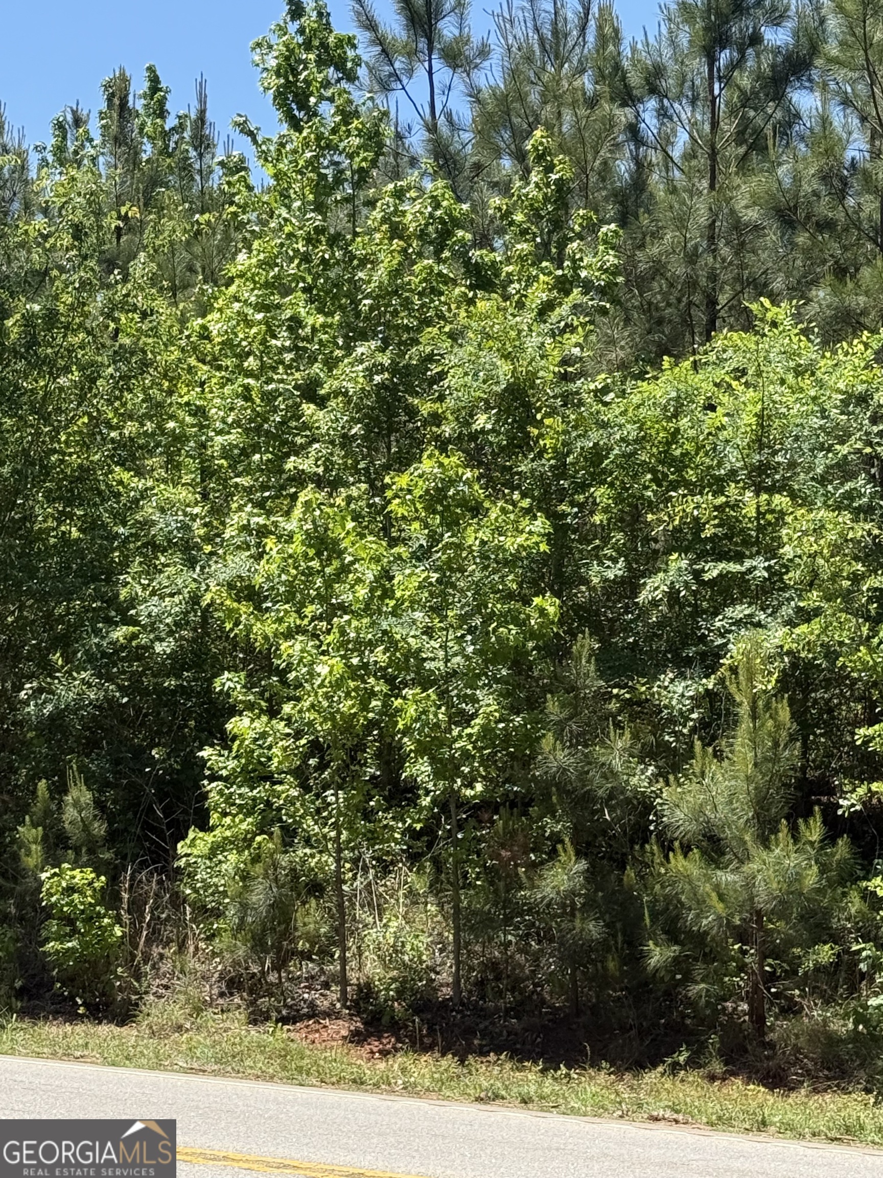 10 Acres Woodbury Hwy Property Photo 1