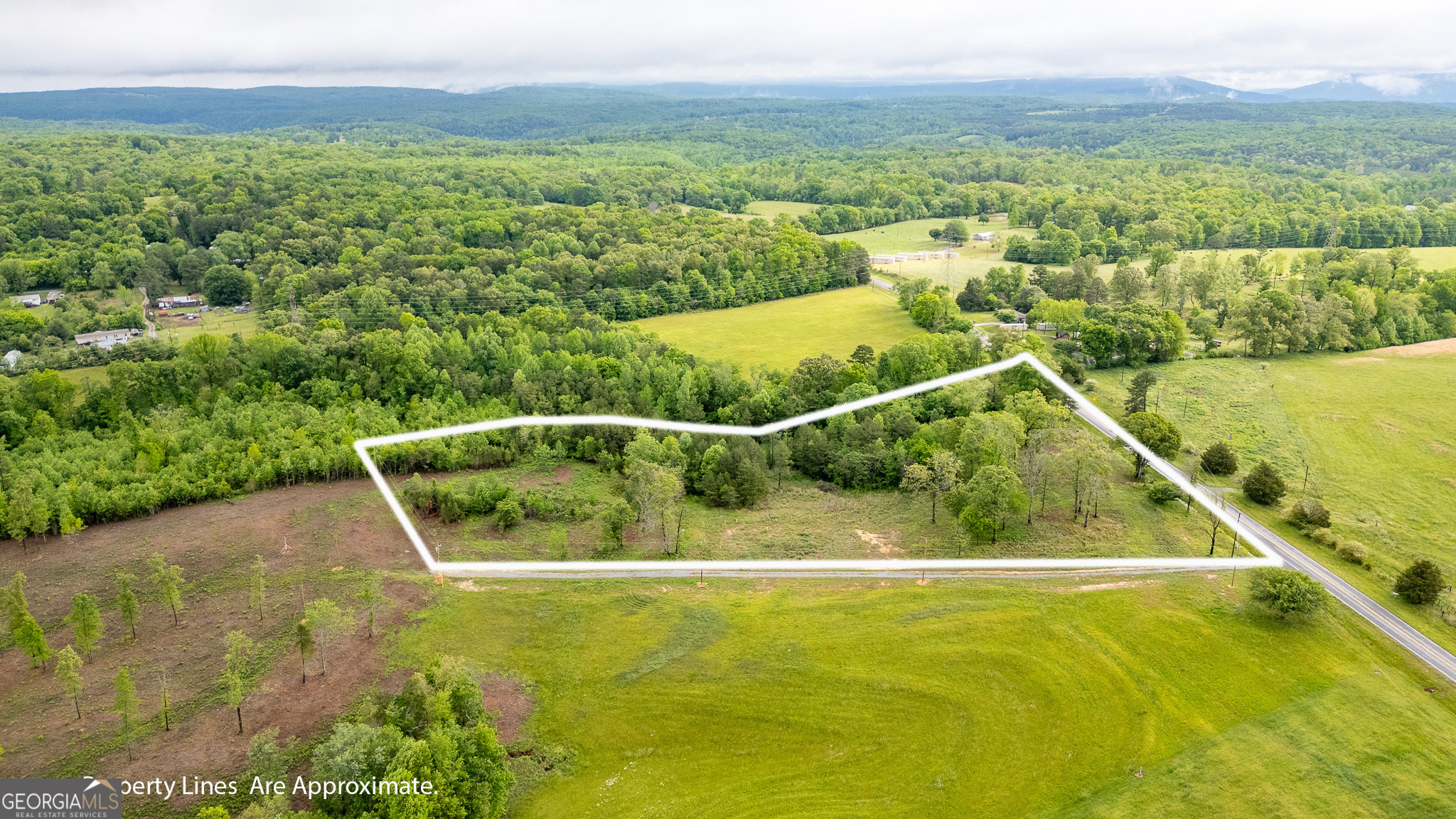 0 Ga 301 Highway Lot 2 Property Photo 1